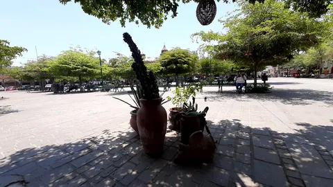 Birrieria "El Tartamudo" image 8