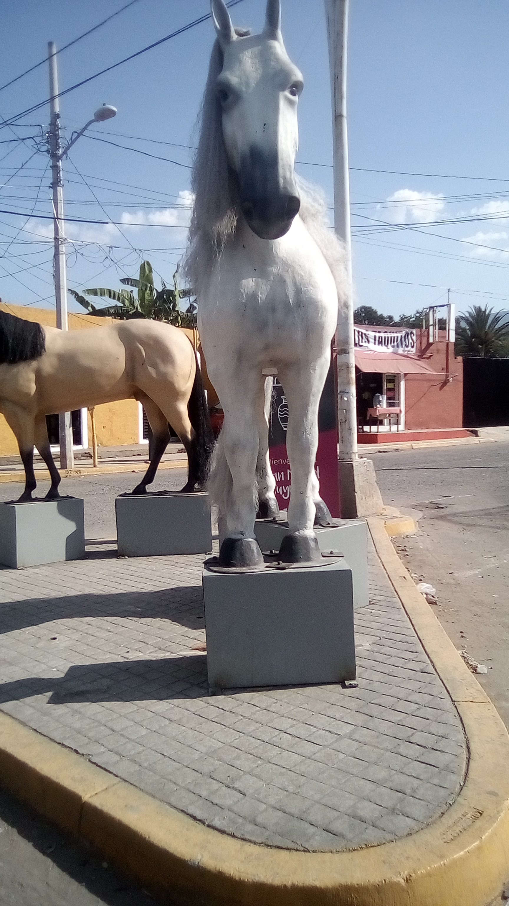 mariscos vady's image 6