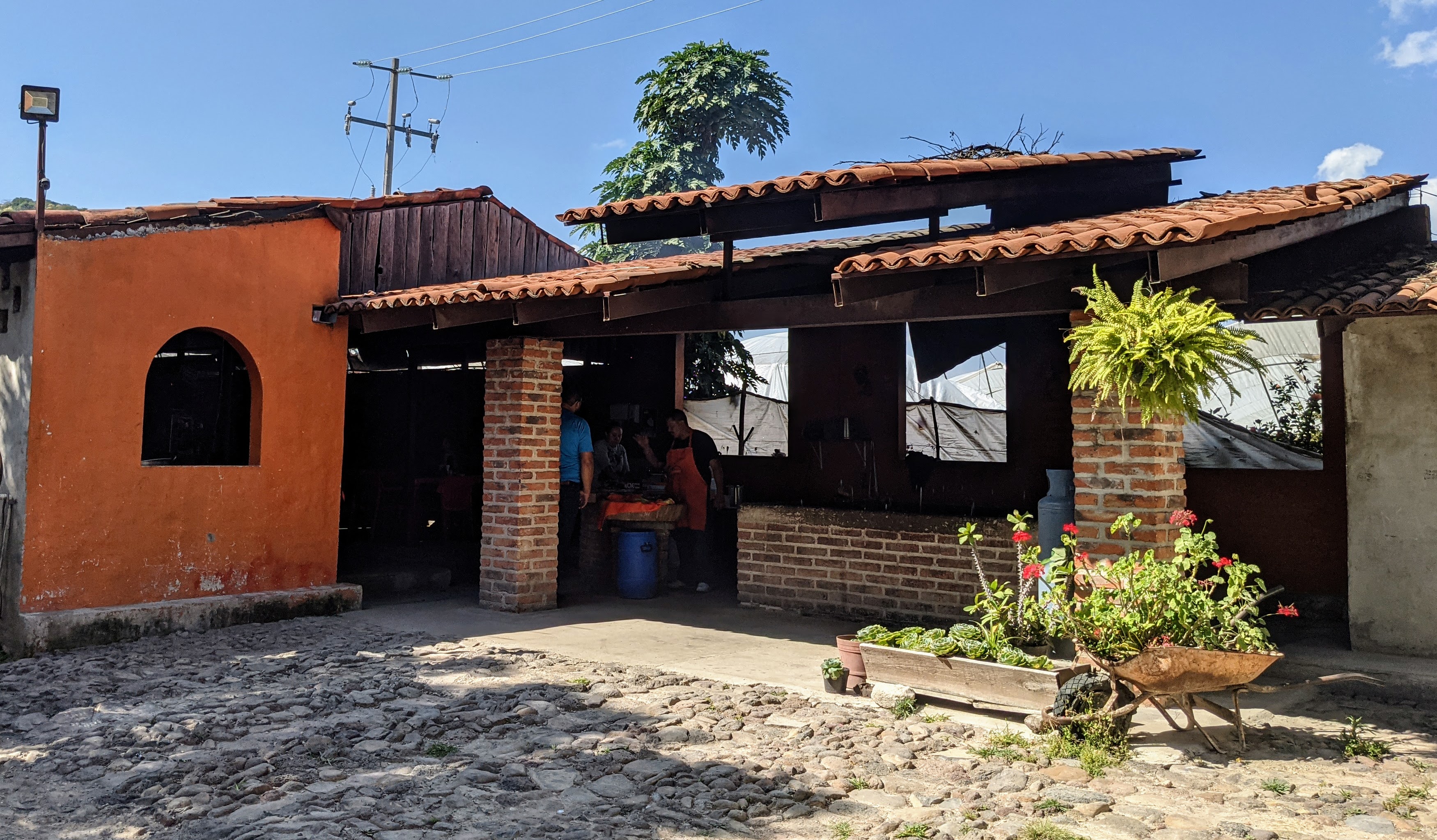 Borrego Al Pastor El Cantarito image 7