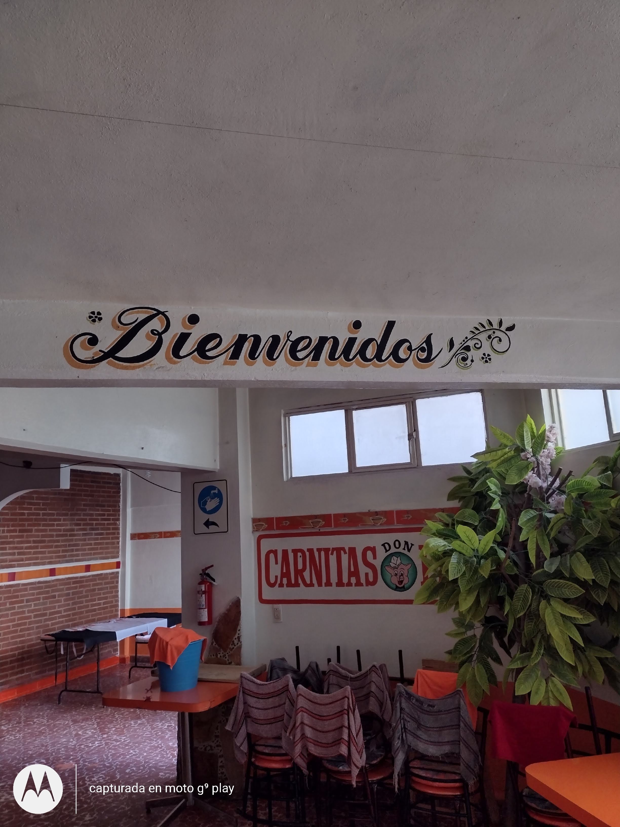 Carnitas "Don Pancho" image 3