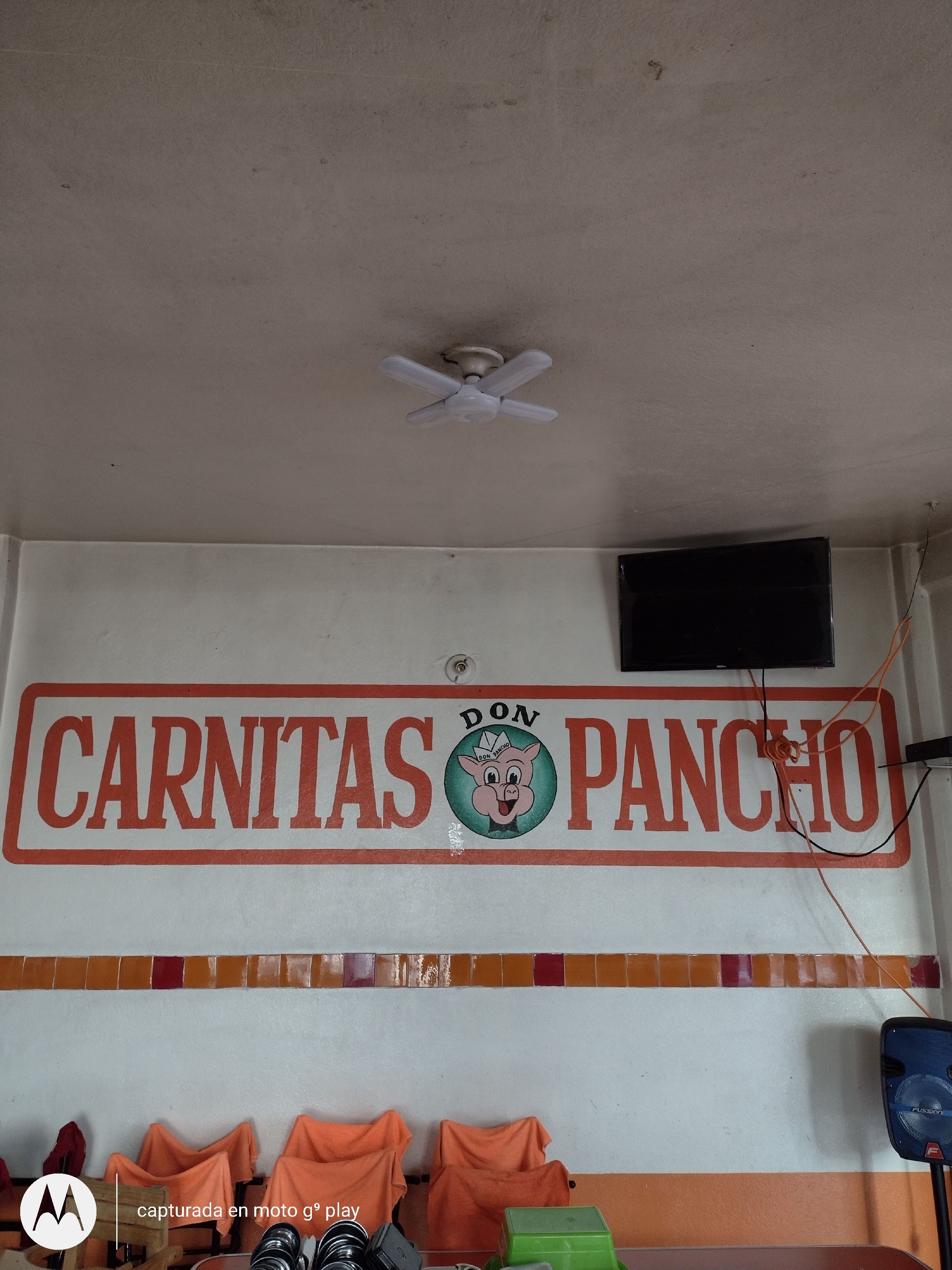 Carnitas "Don Pancho" image 4