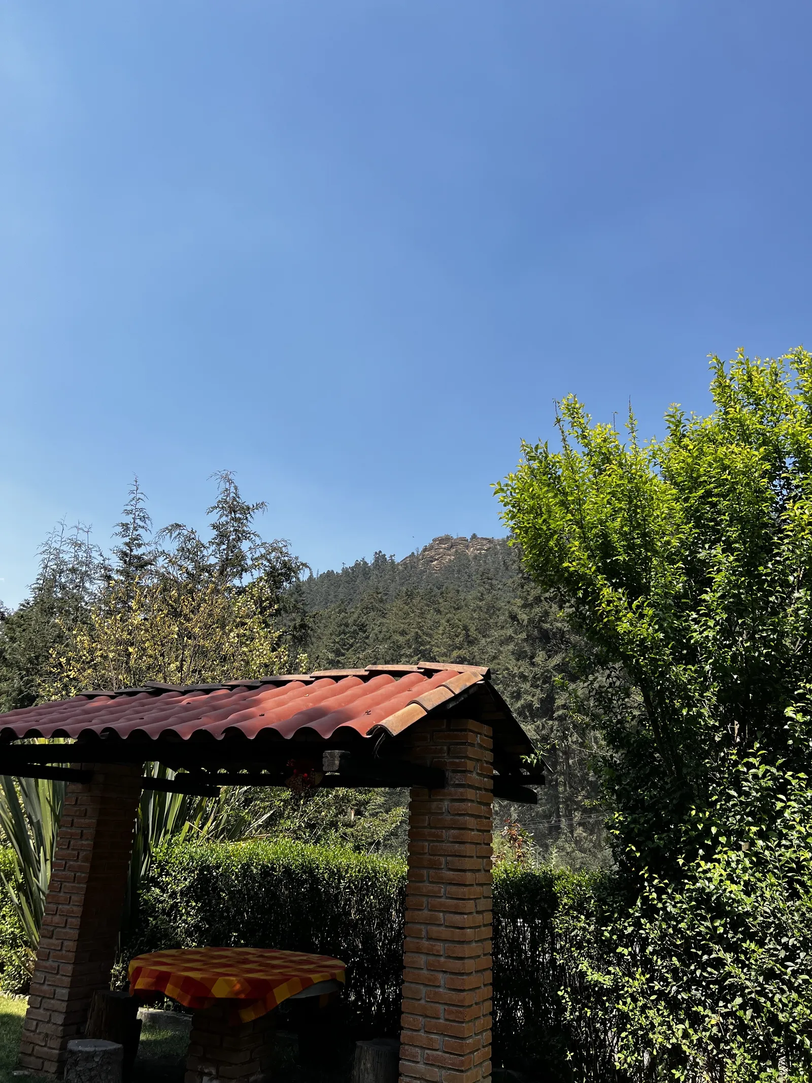 The cedars restaurant image 3
