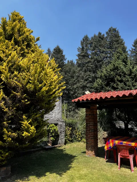 The cedars restaurant image 6