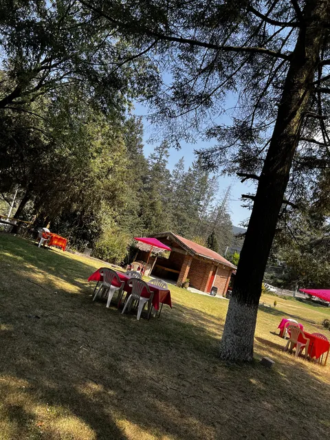 The cedars restaurant image 7
