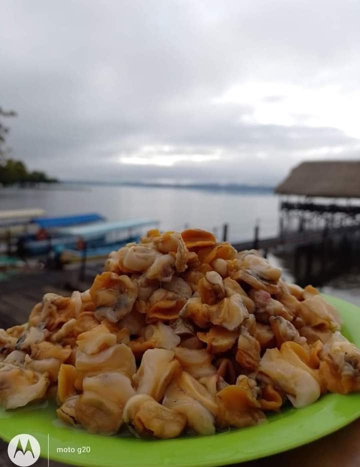 Tegogolos & Mariscos El Rincon De Catemaco image 1