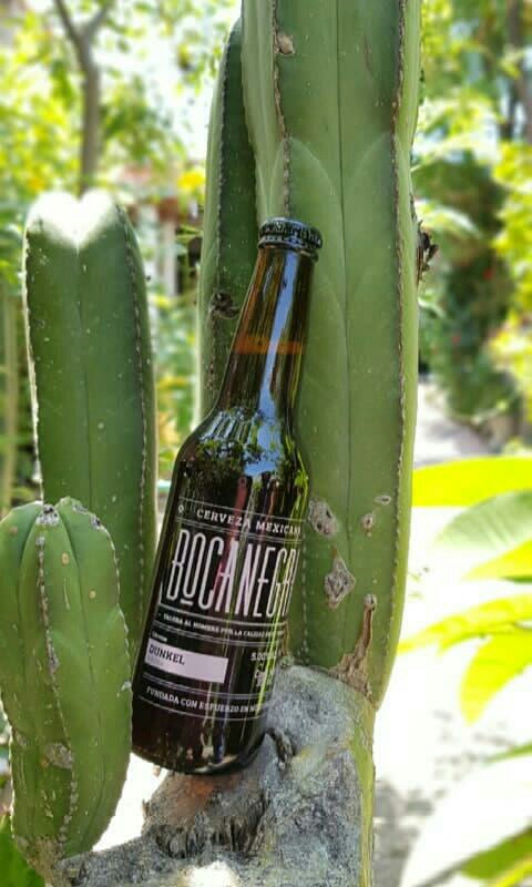 Apetito Pizza y Vino image 8