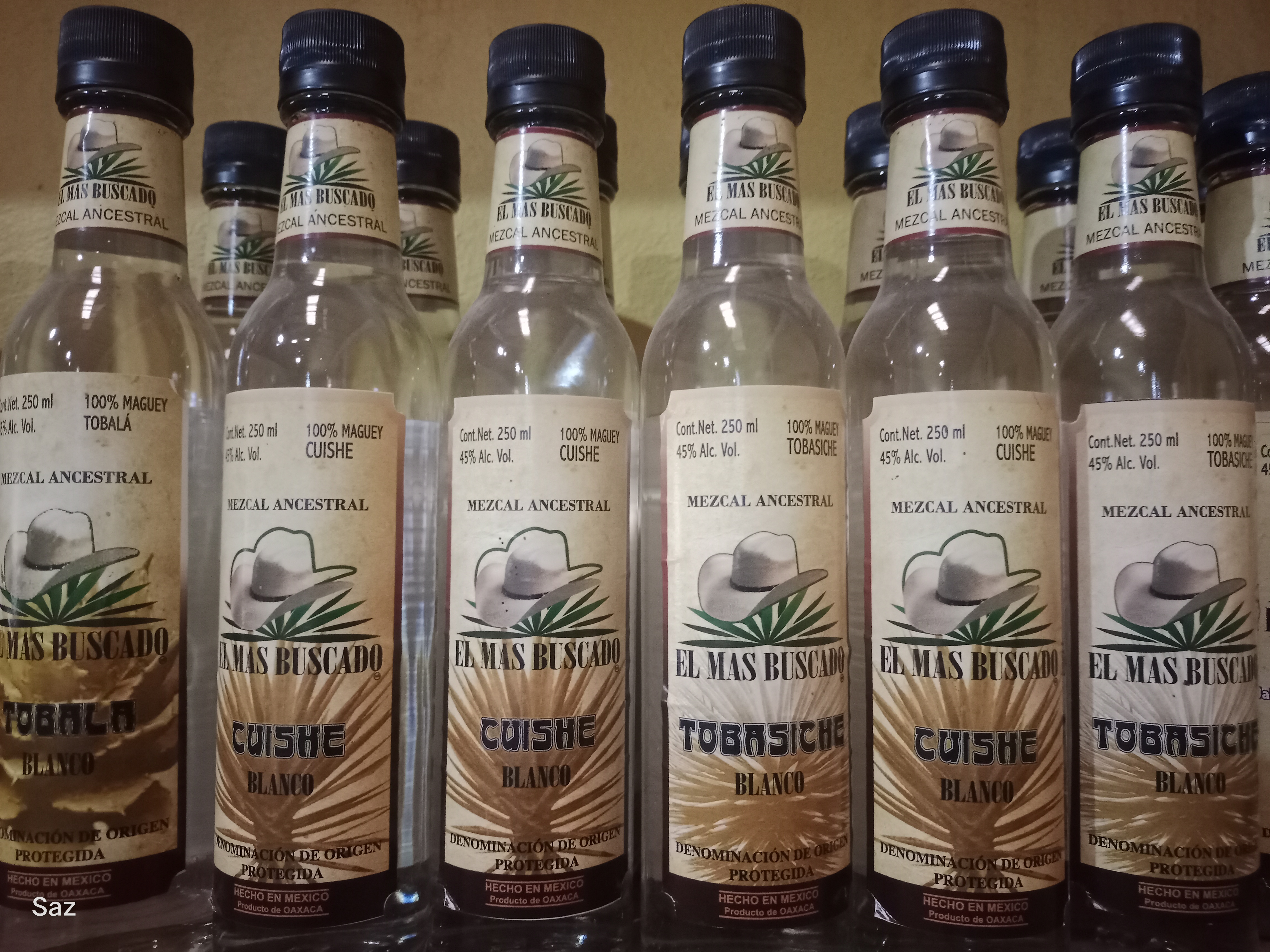 CASA PALMILLO image 2