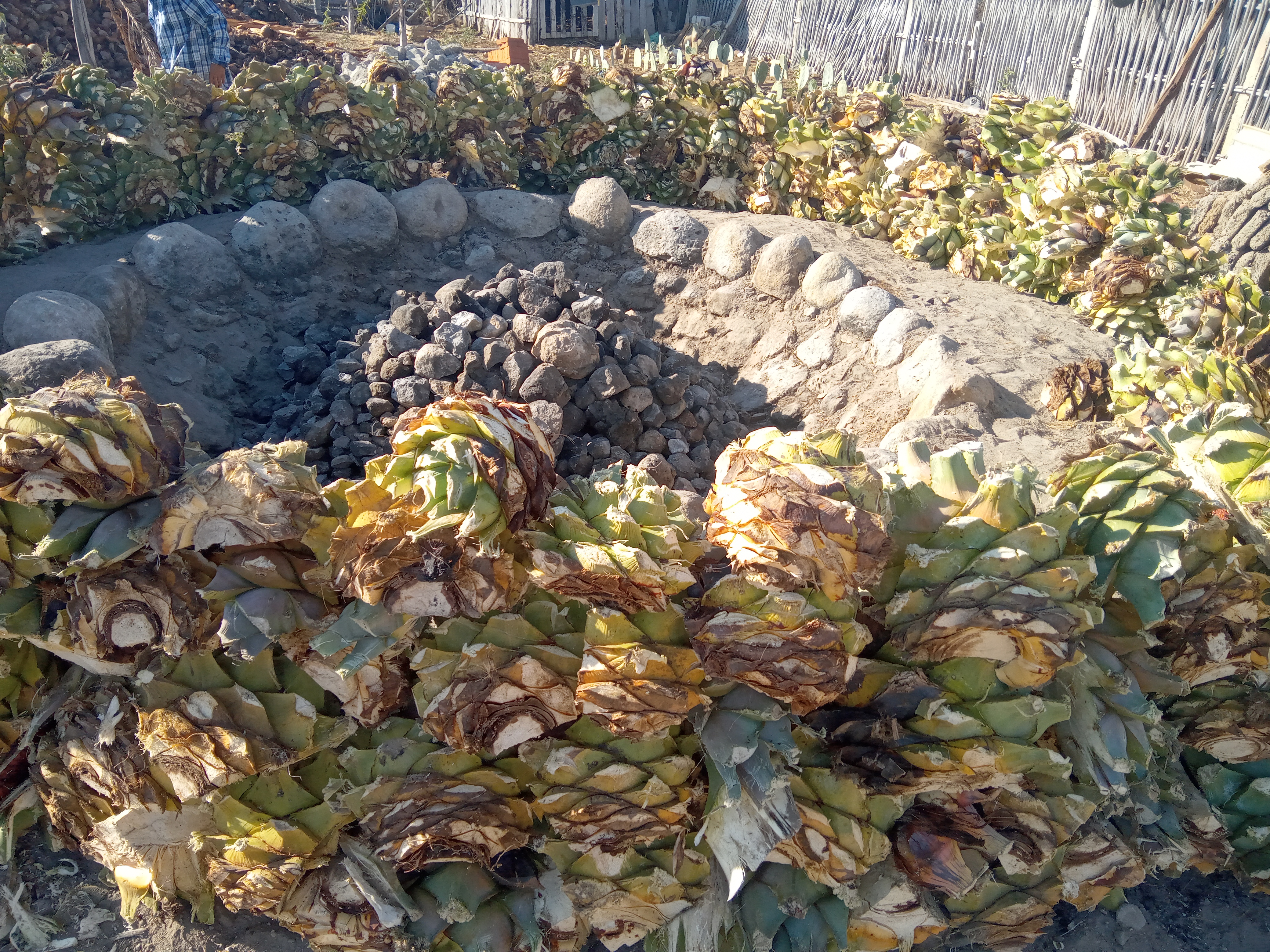 CASA PALMILLO image 6