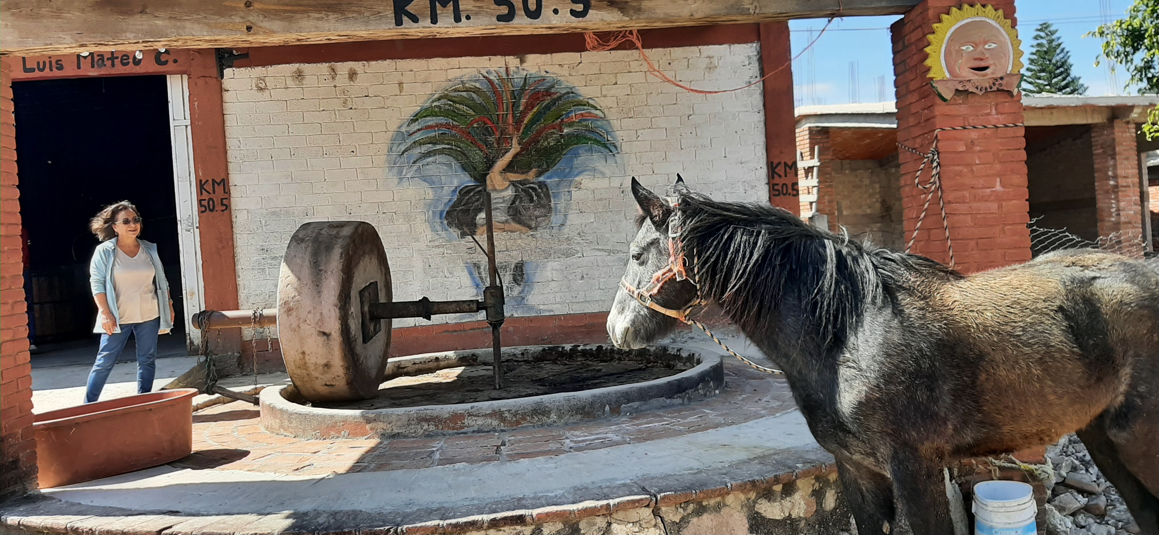 CASA PALMILLO image 7