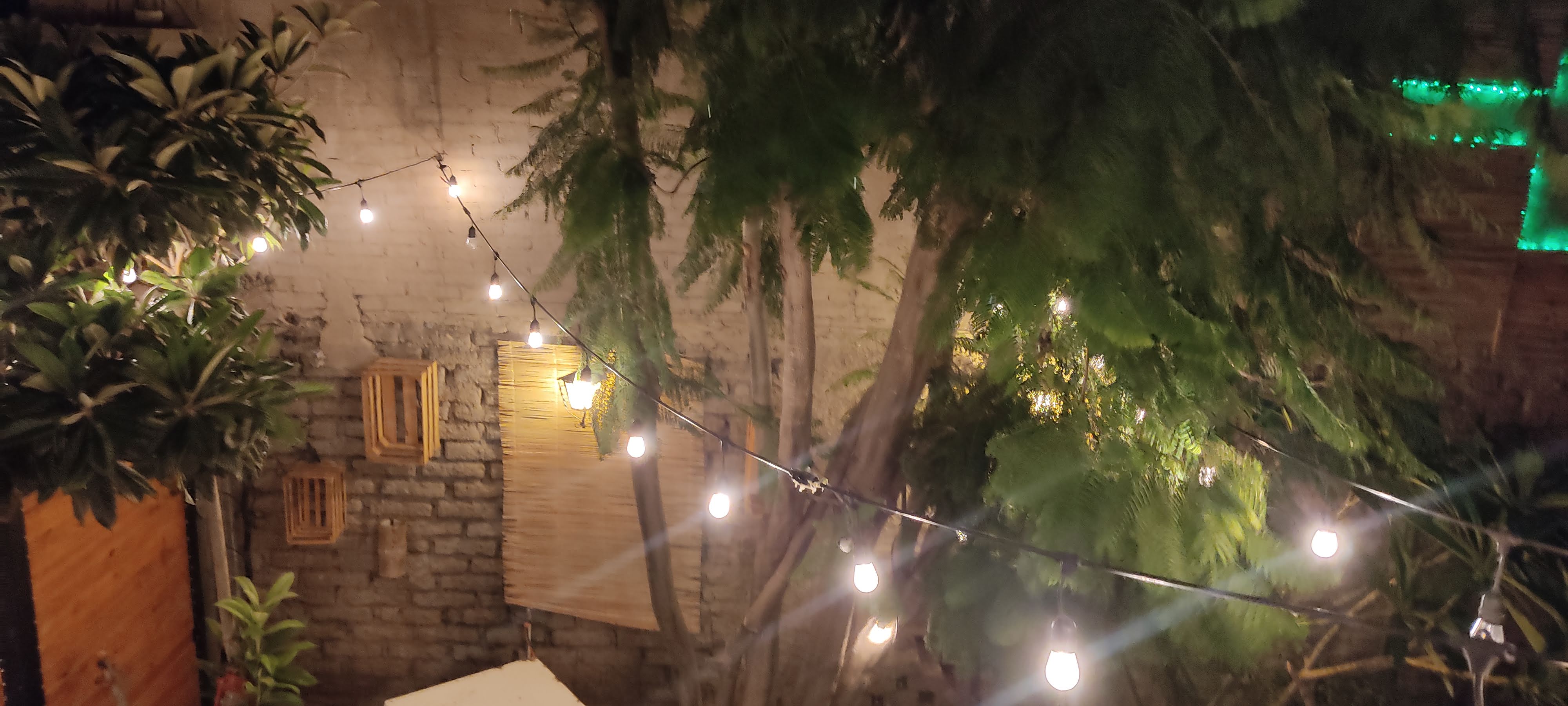 La Casita, Café y Mezcal image 10