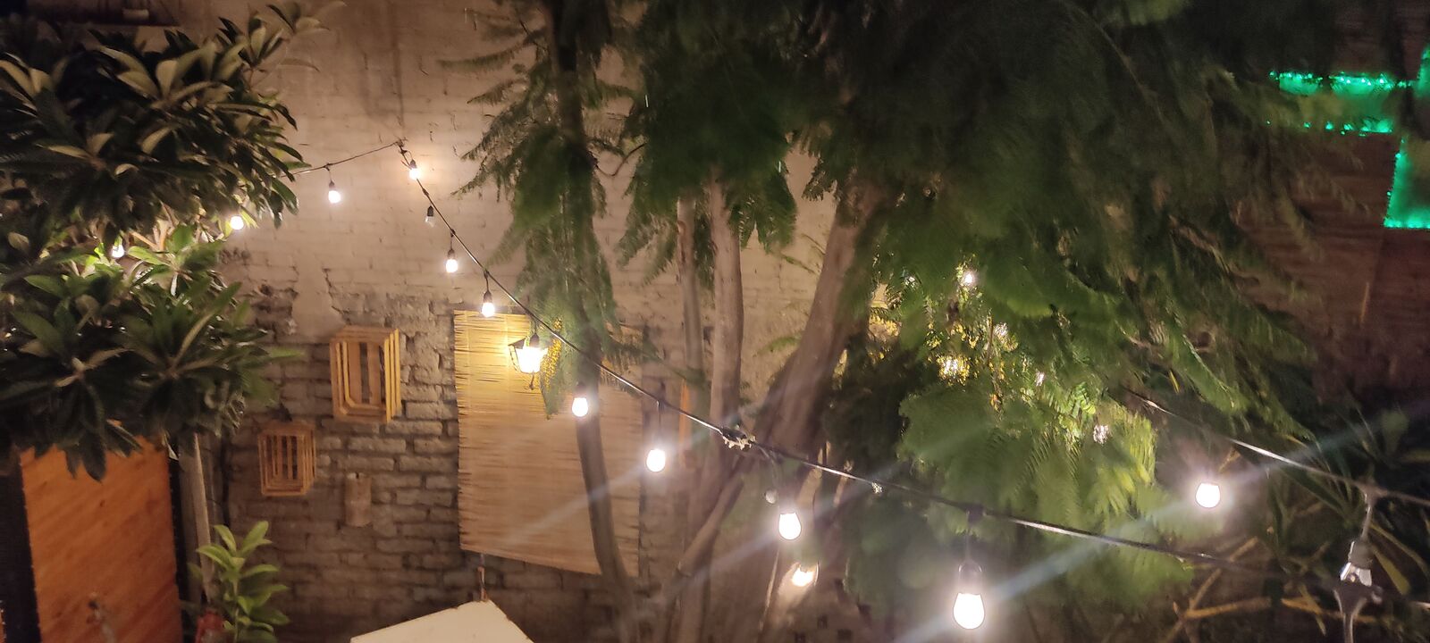 La Casita, Café y Mezcal image 10