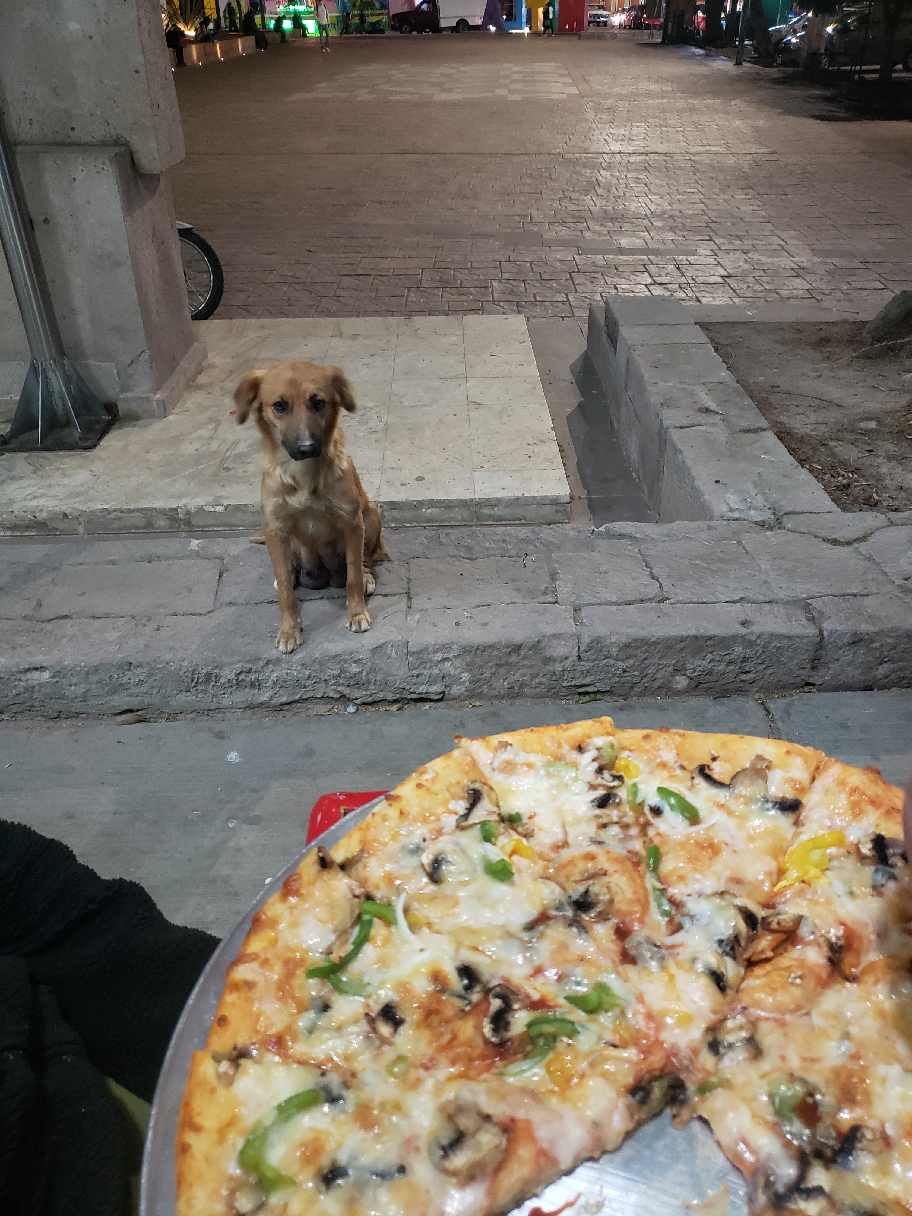 FRIJOLITOS PIZZA image 1