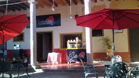El Toloache image 1
