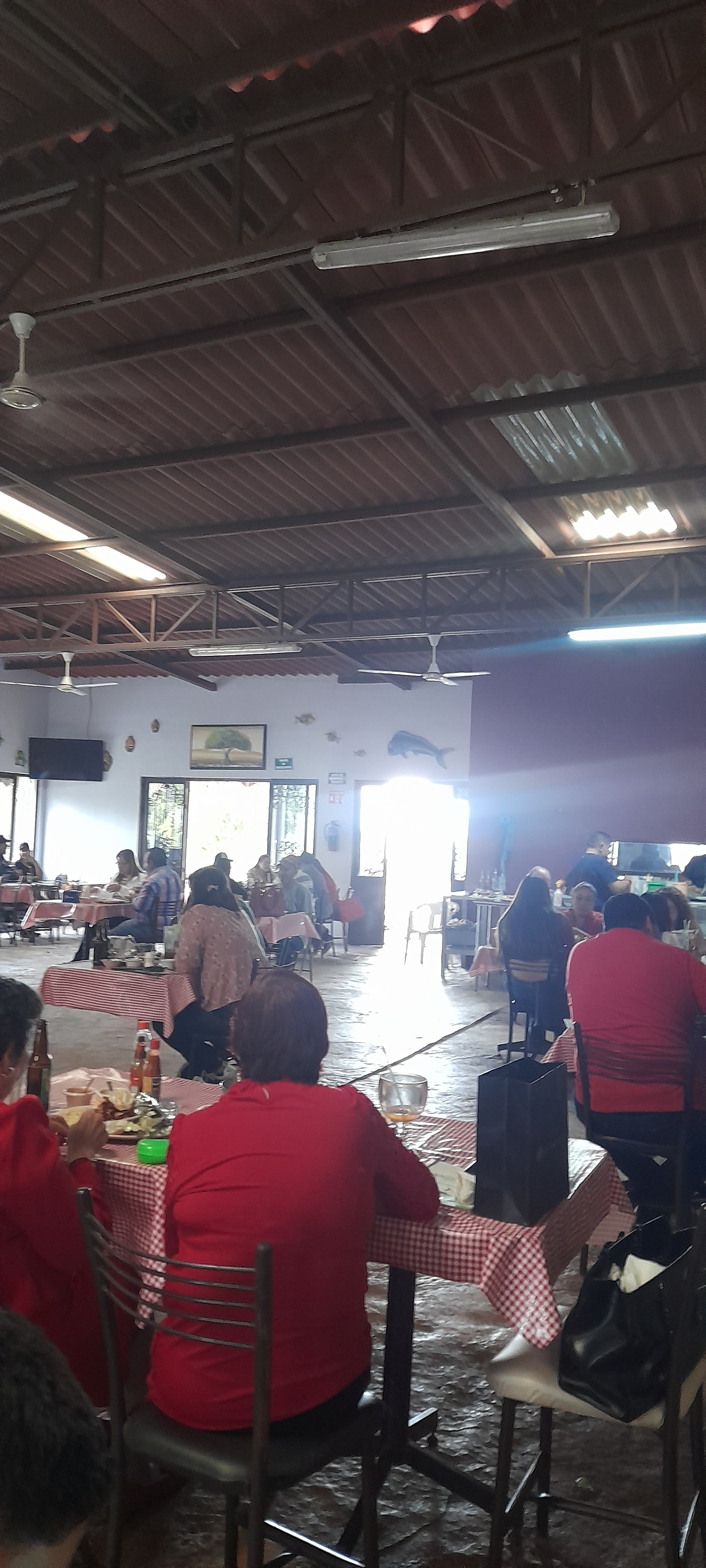 Fonda las ranas image 7