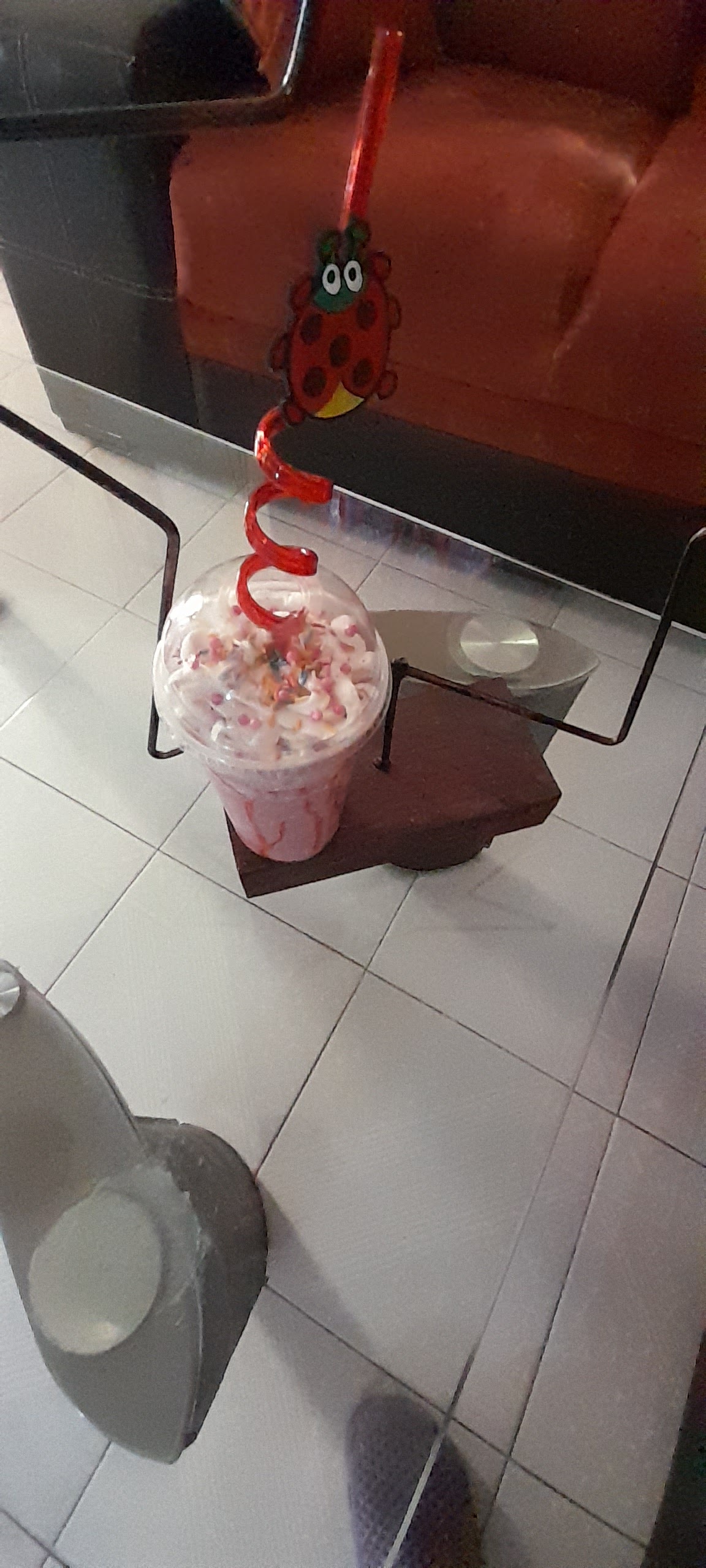 Cheleria Taz image 2