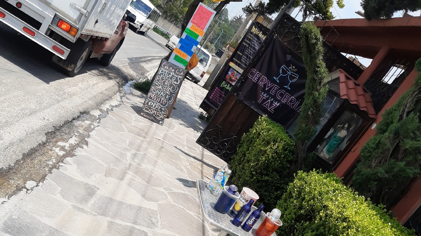 Cheleria Taz image 3