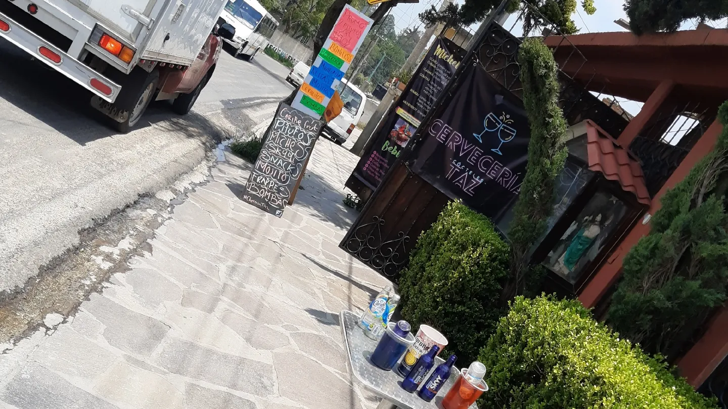 Cheleria Taz image 3