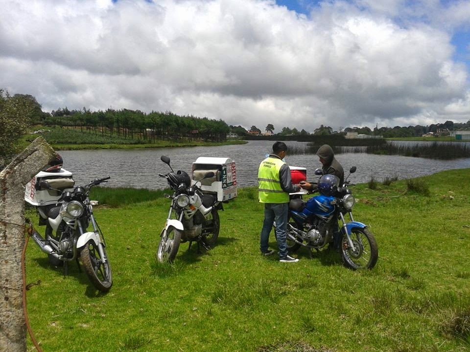 Pizzas Suprema image 2