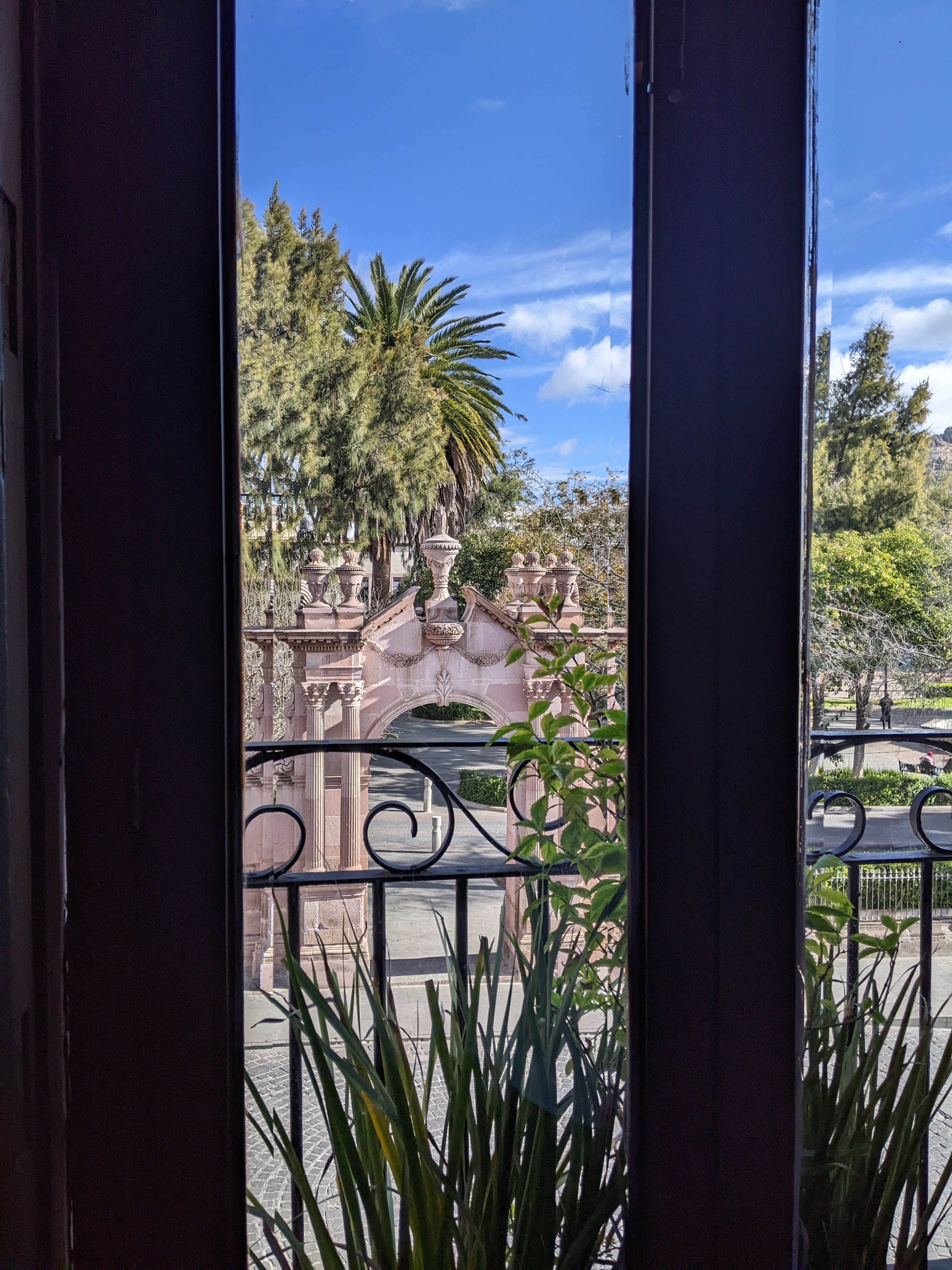 FINCA Serrano image 5