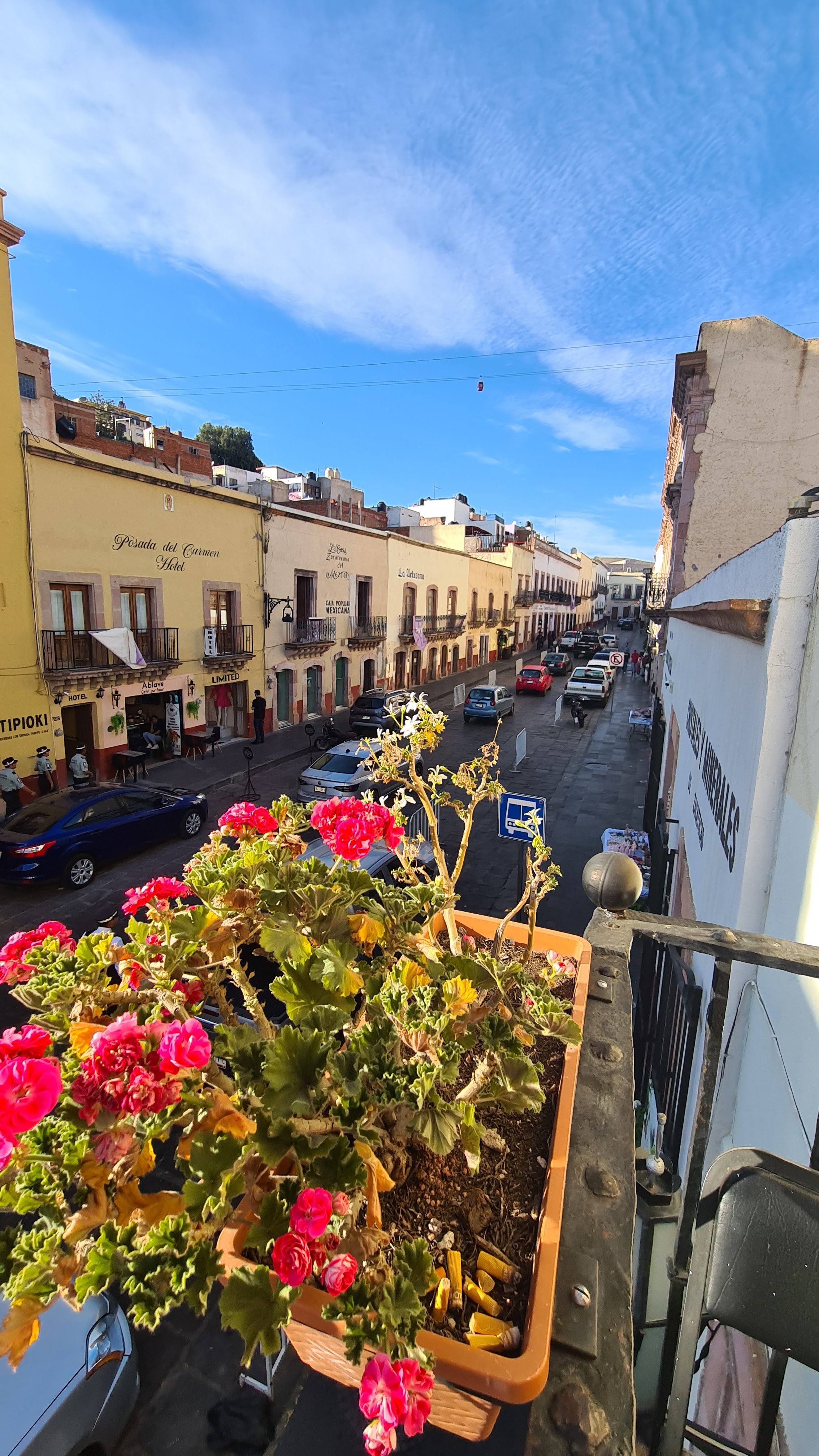 Las Criollas image 3