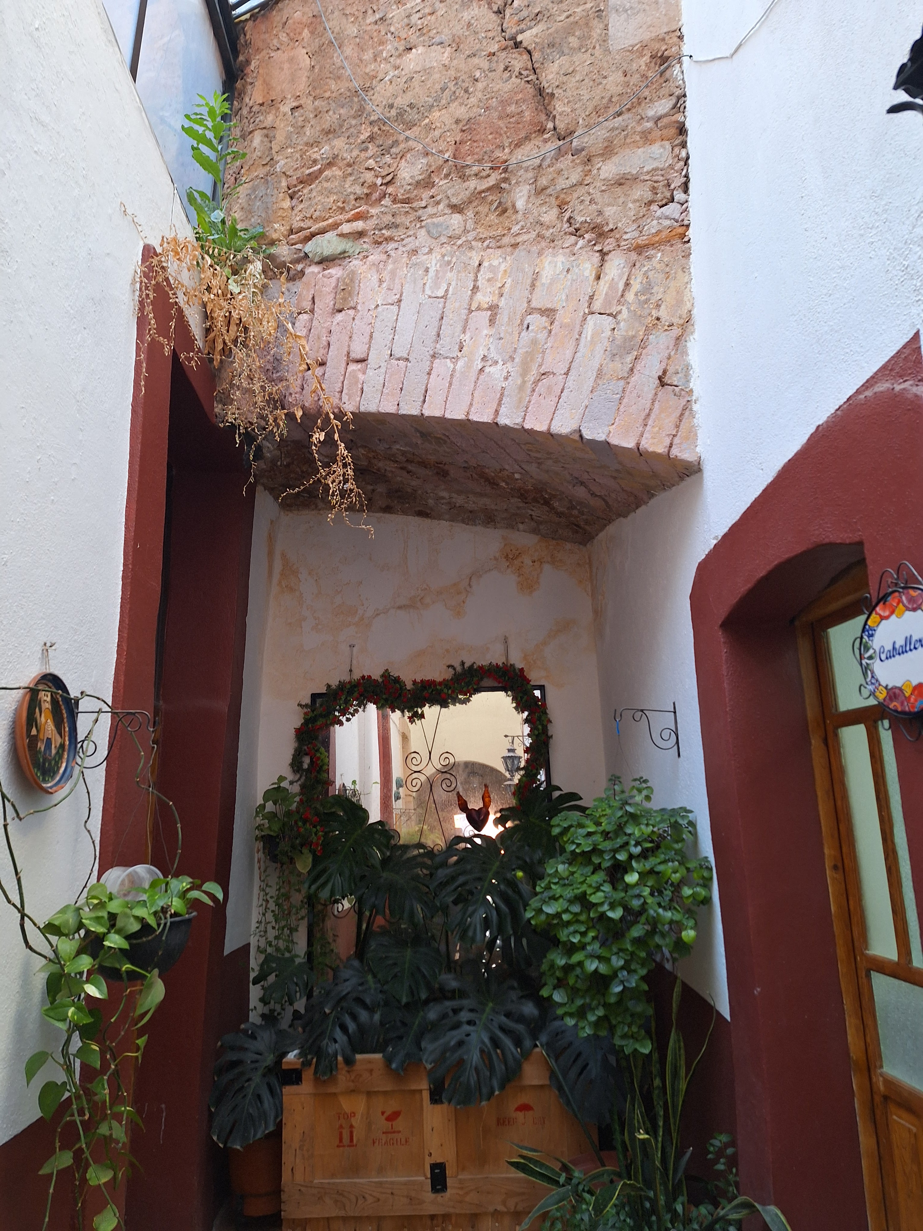 Karnes en Su Jugo image 4