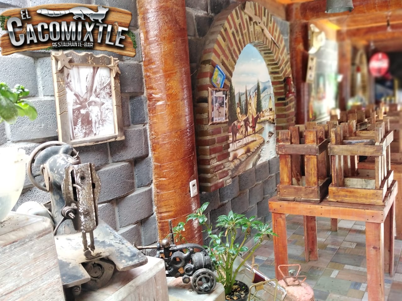 El Cacomixtle Restaurante-Bar image 6