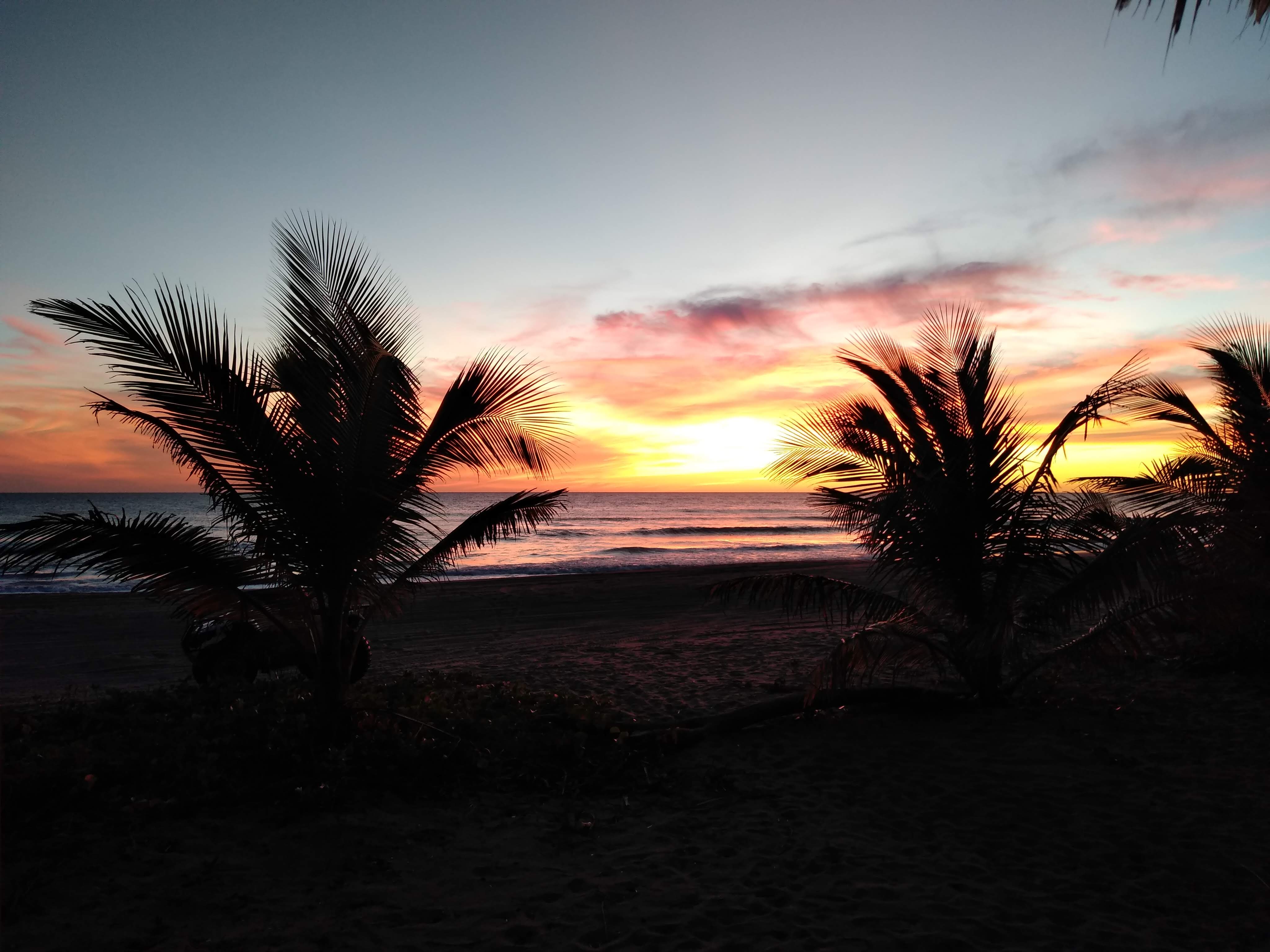 Restaurant Sayetzi image 8