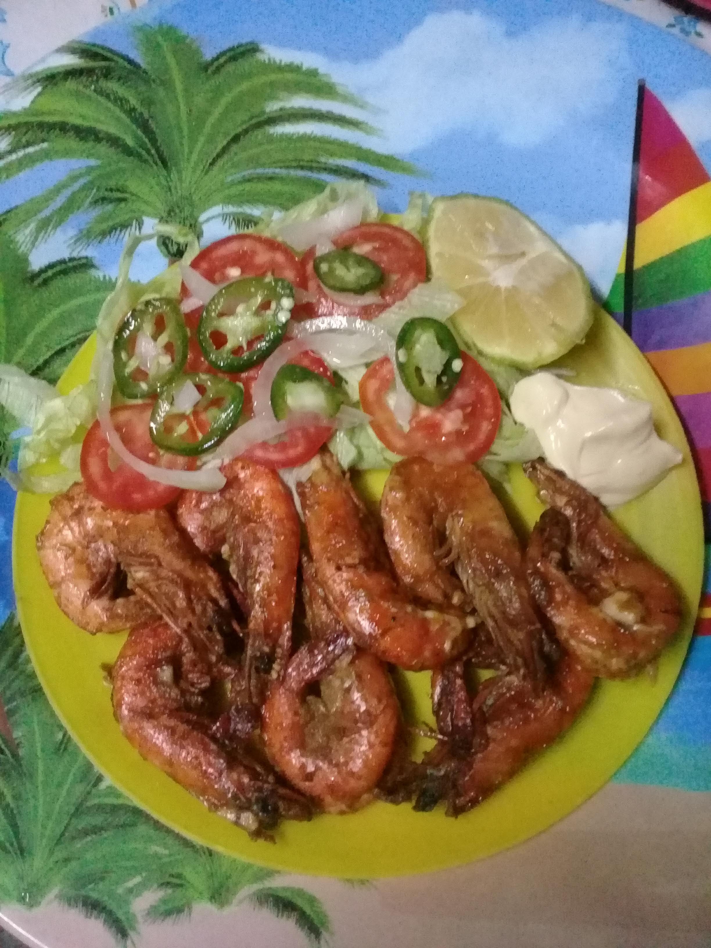 Palapa familiar el morrito image 1