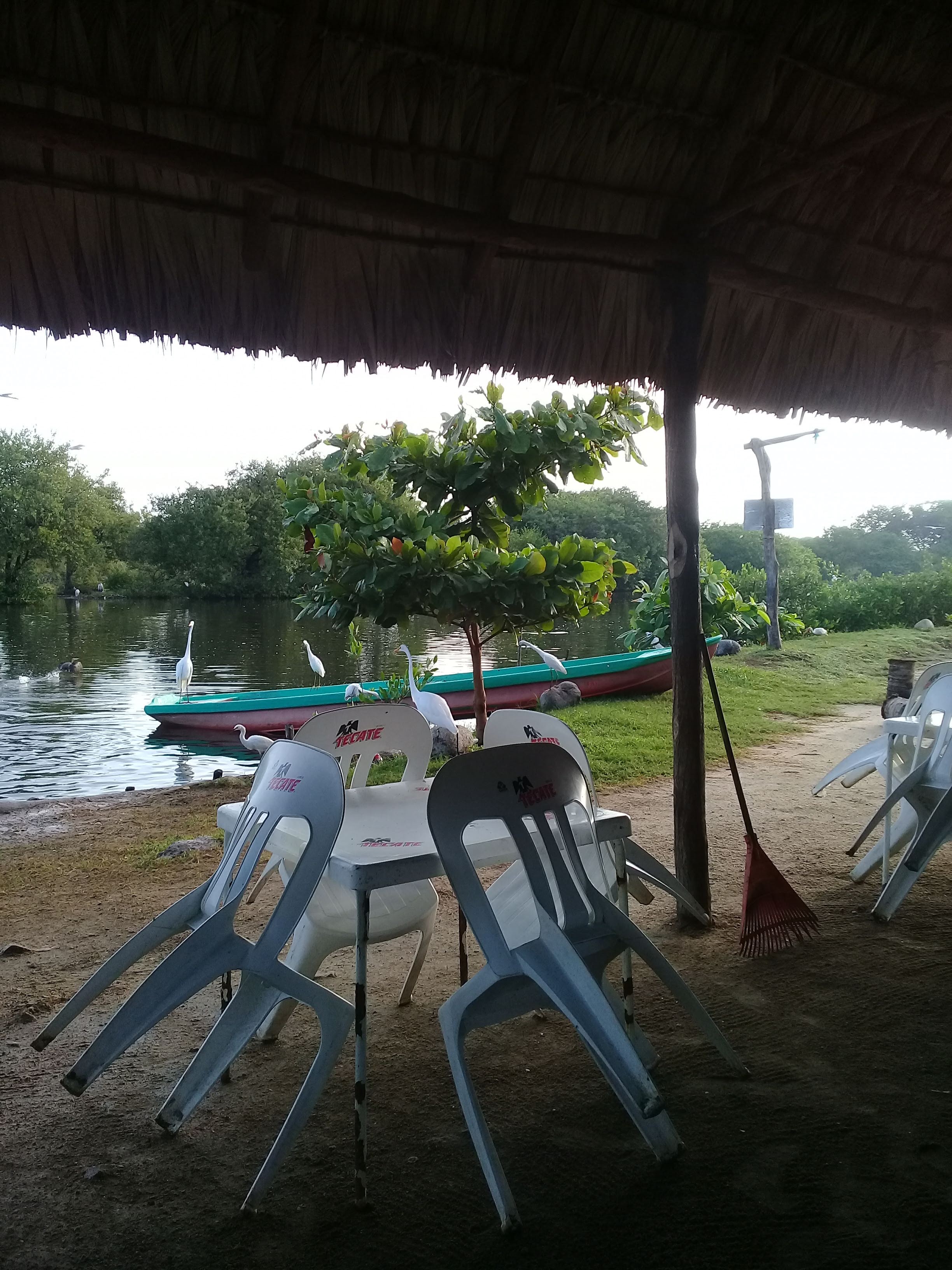 Palapa familiar el morrito image 4