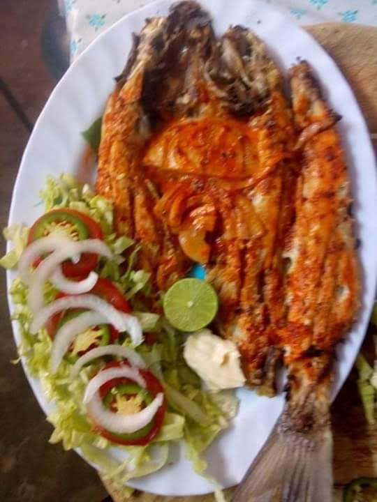 Palapa familiar el morrito image 5