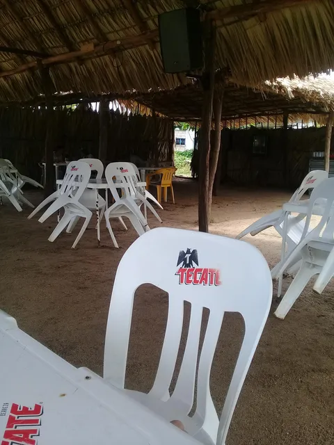 Palapa familiar el morrito image 7