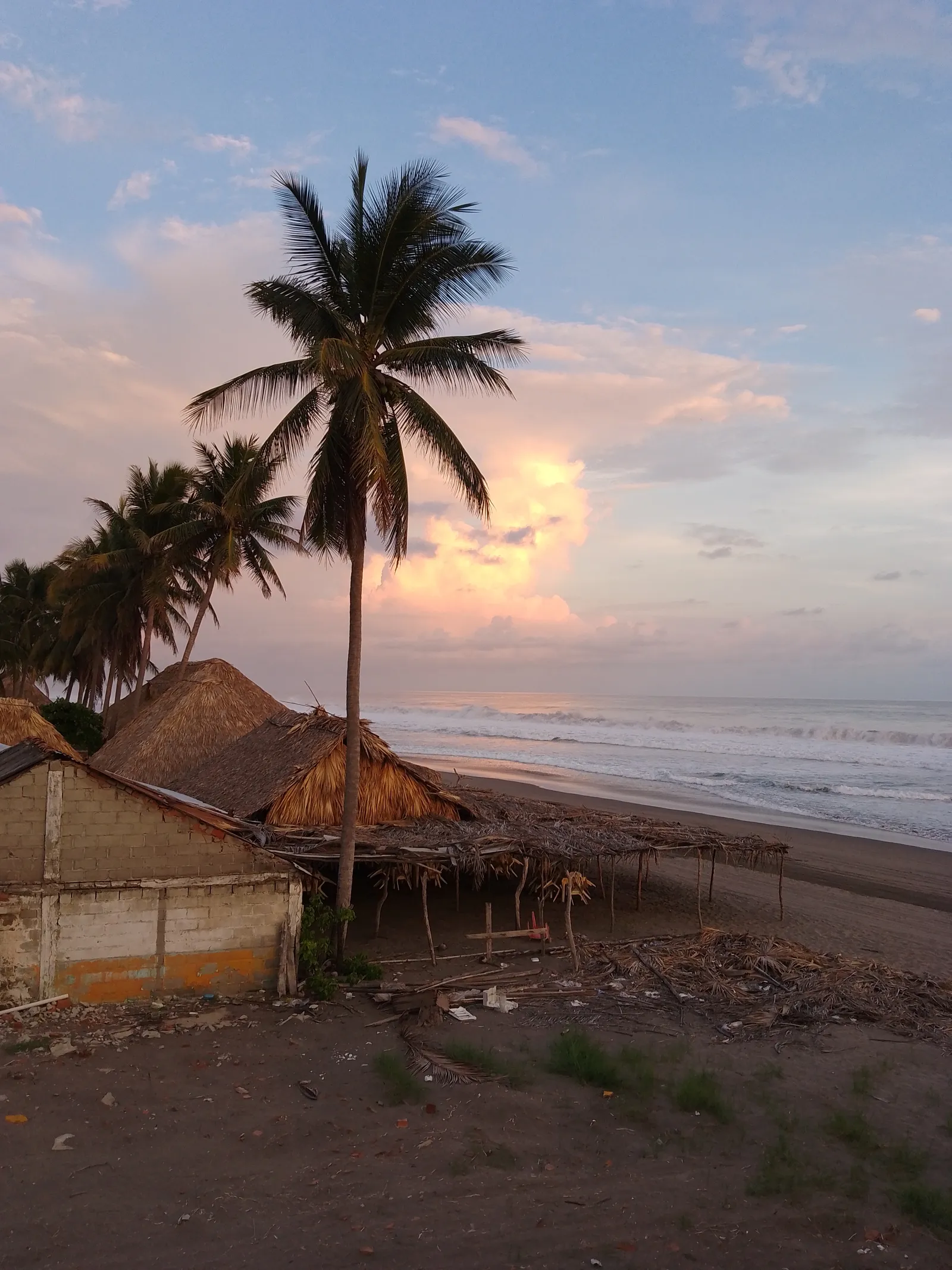 Sotavento image 7