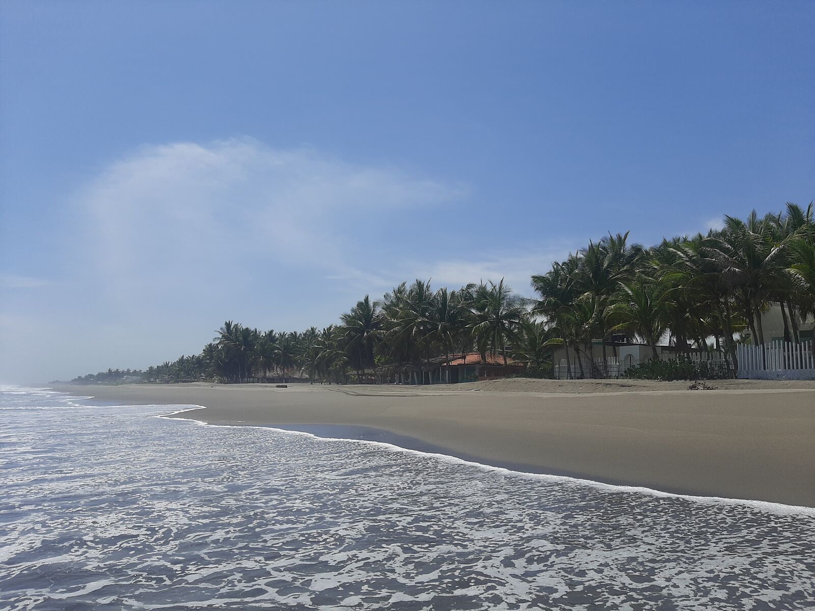 Sotavento image 9