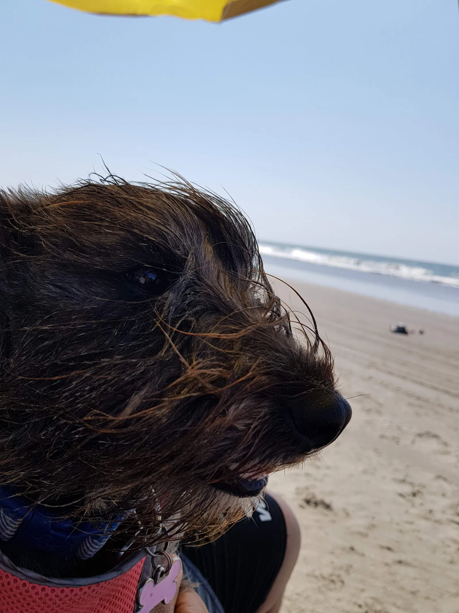 Playa Linda image 9