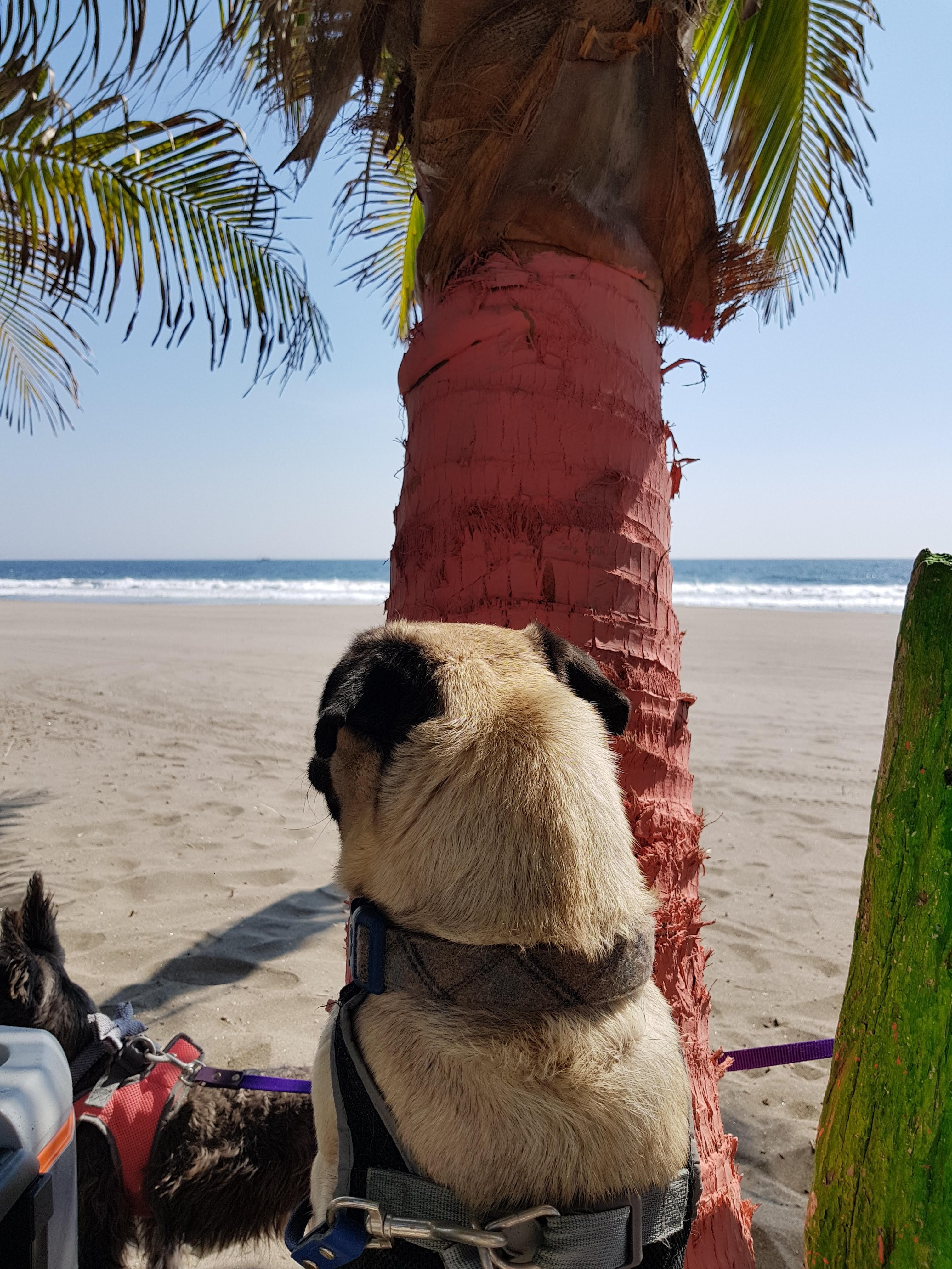 Playa Linda image 10