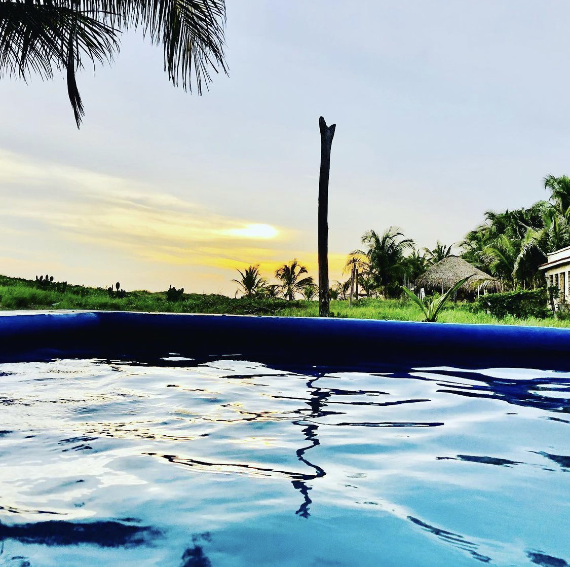 Restaurante Chabelita image 6