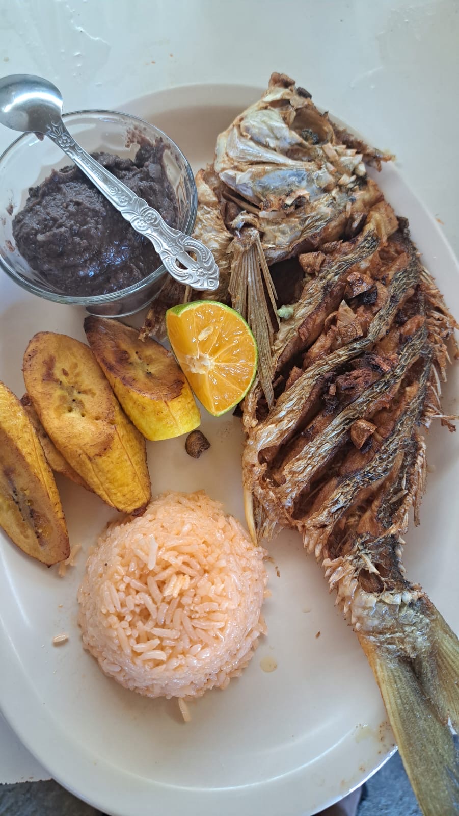 RESTAURANTE Y ASADERO LAS GEMELAS image 8