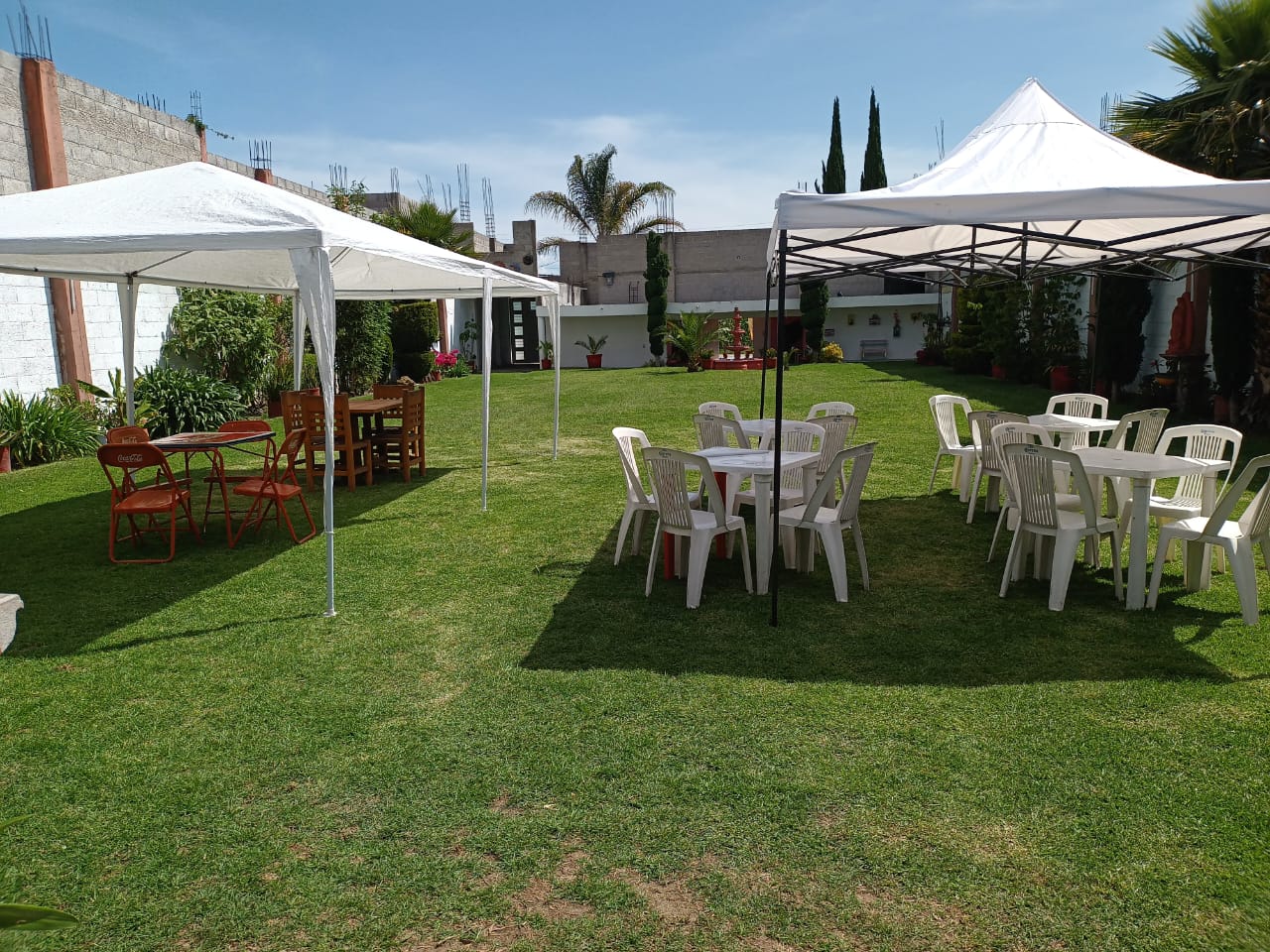 Kike's garden image 3