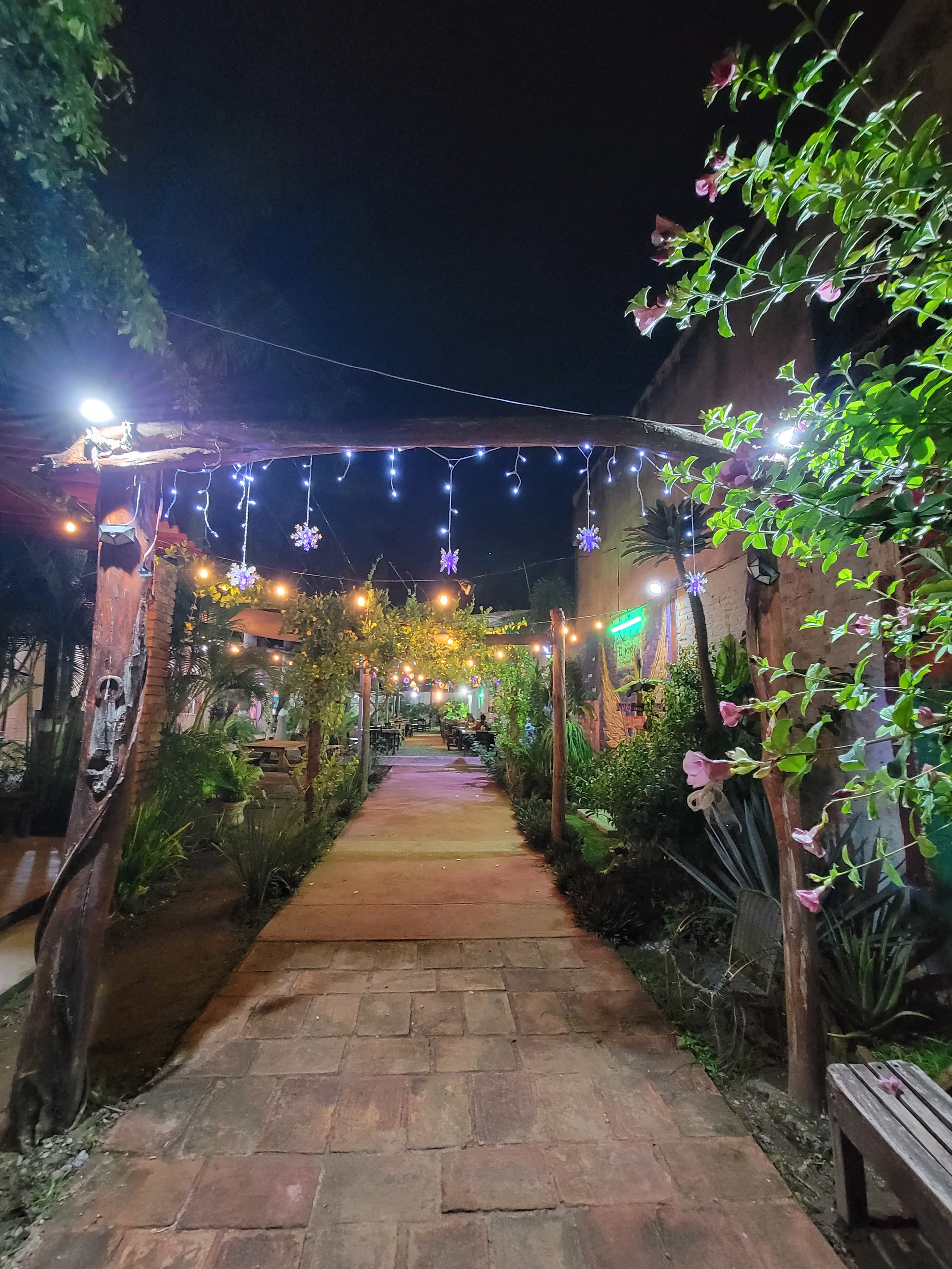 El Jardín Restaurant-Bar image 3