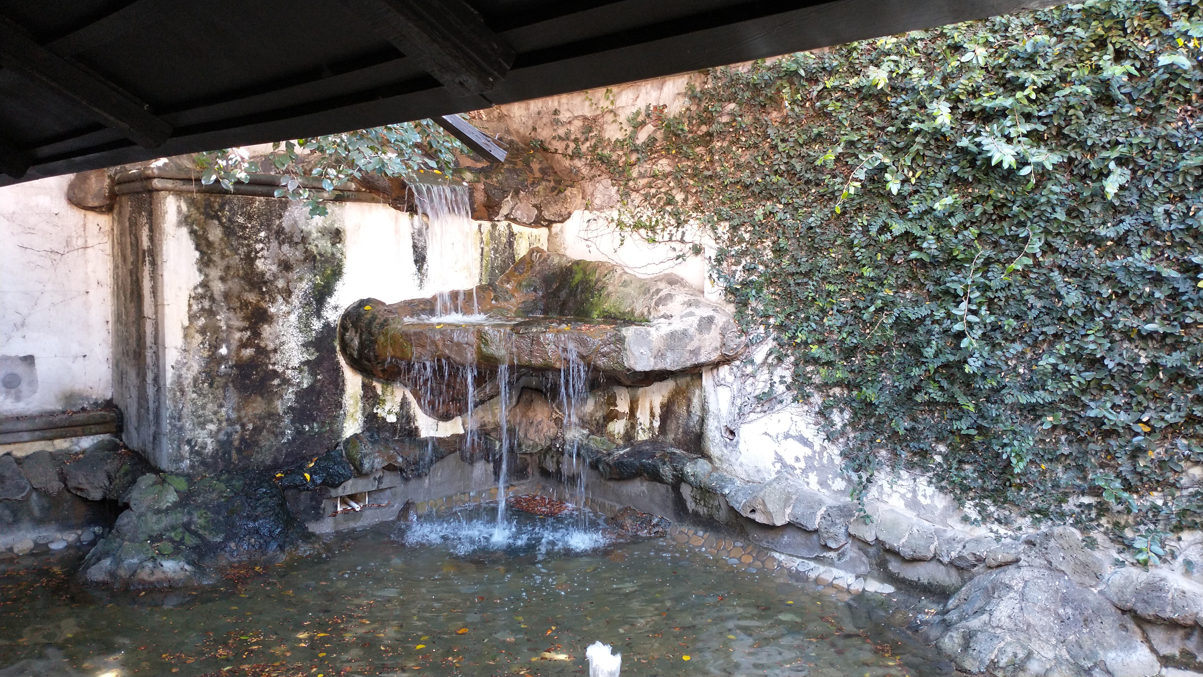 Mesón Gaucho image 7