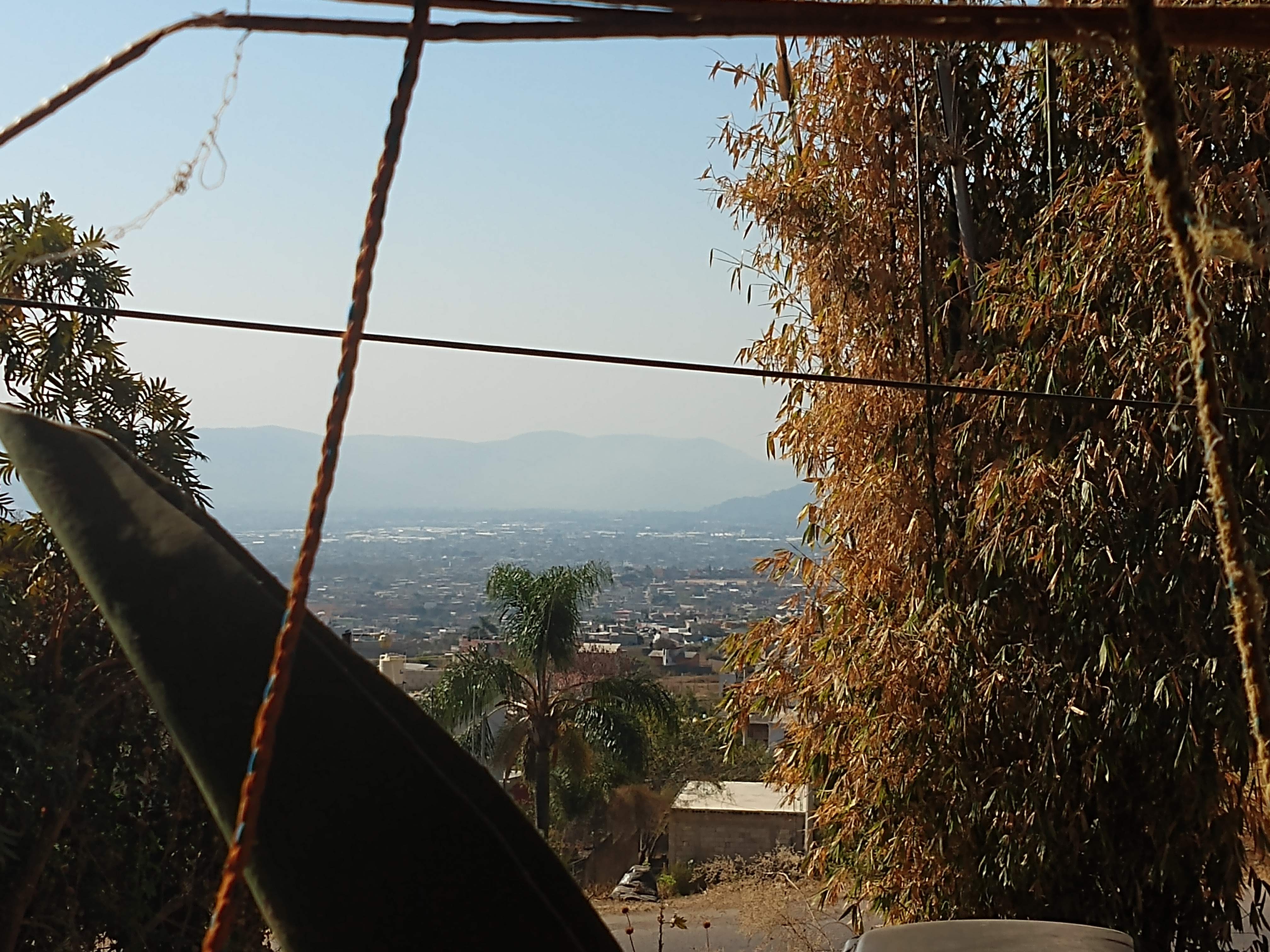 Barbacoa El Hidalguense image 8