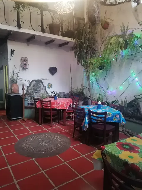 Casa Tikal image 5