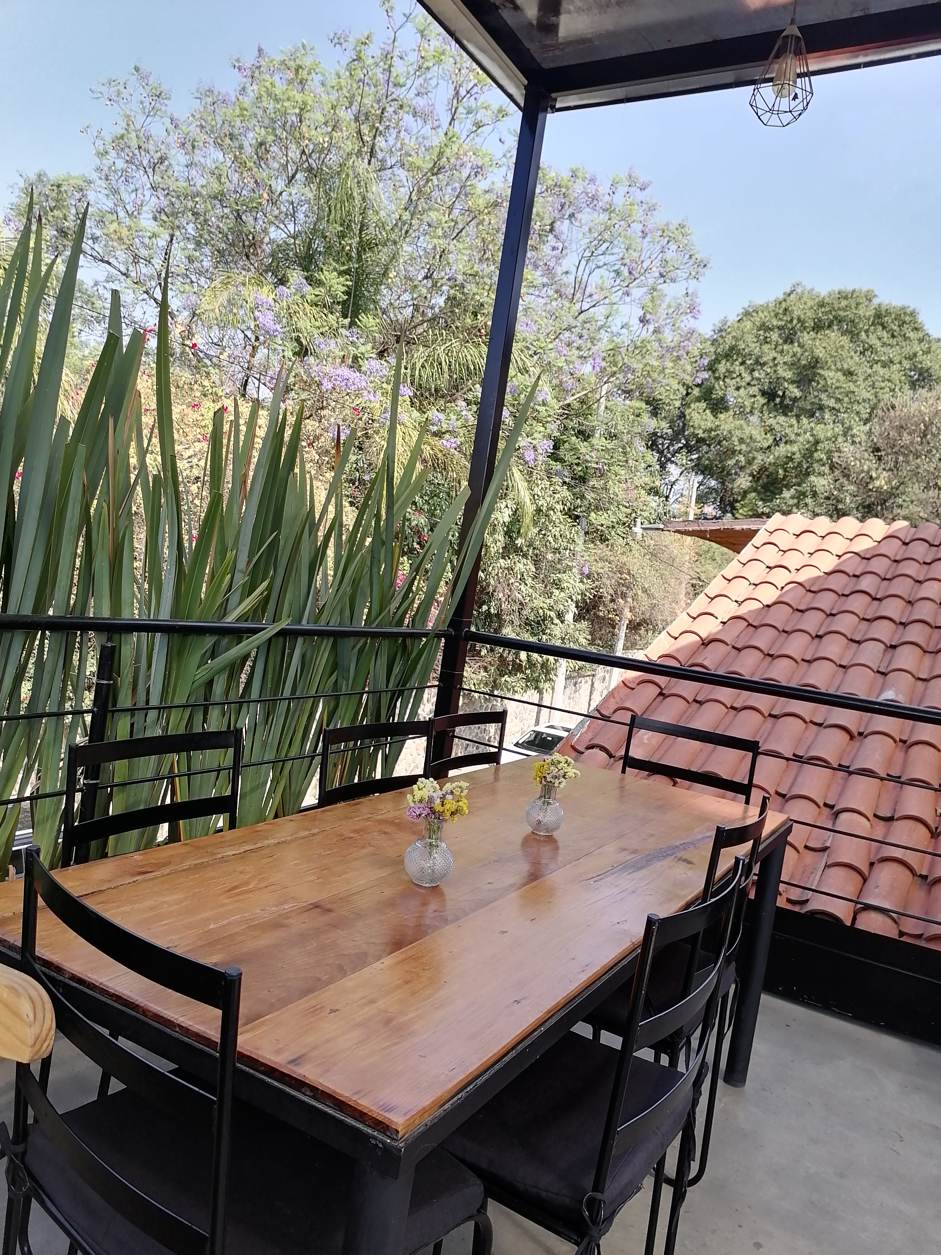 Malva Restaurant image 1