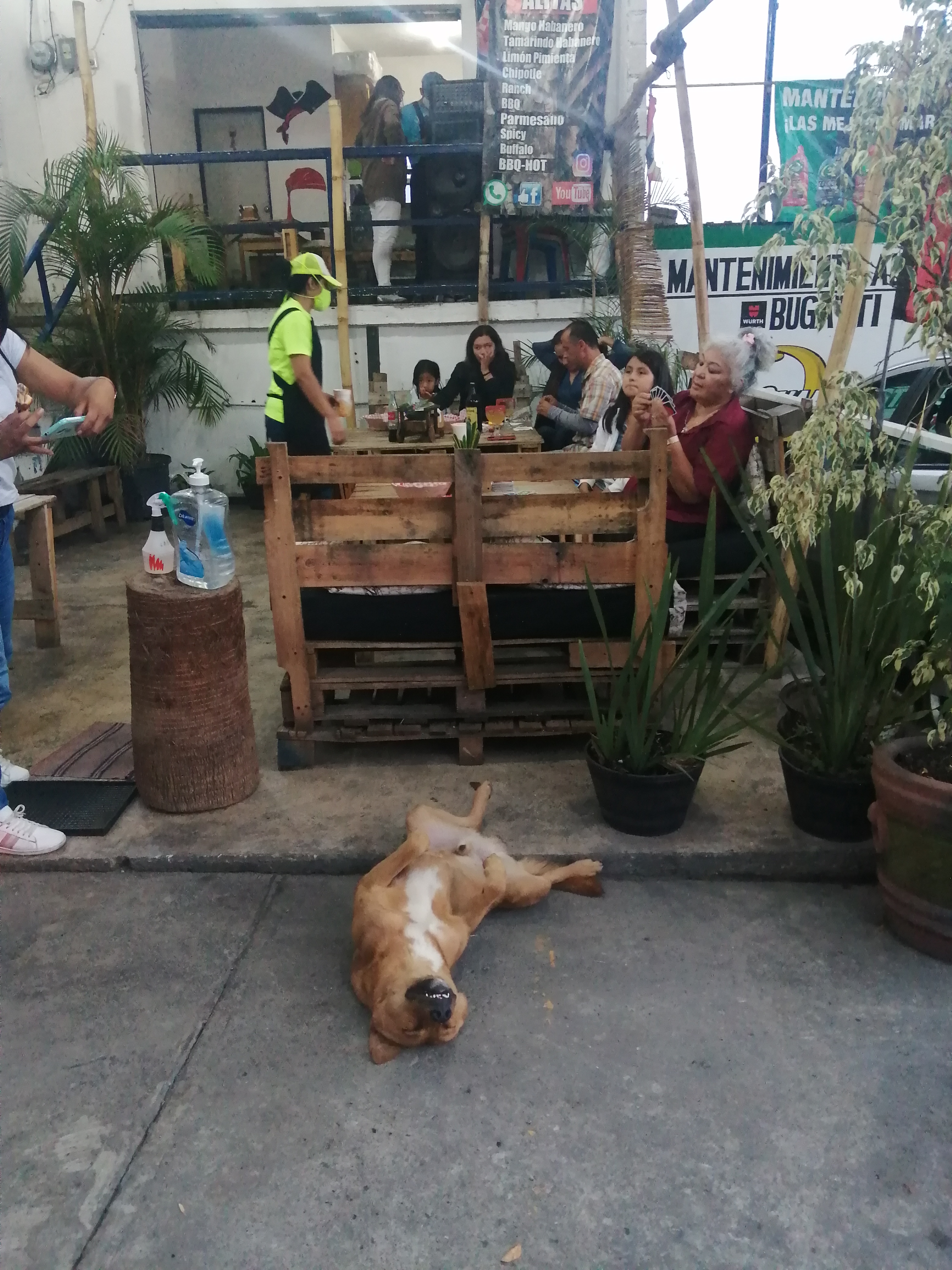 Alas alitas cartuchos image 3