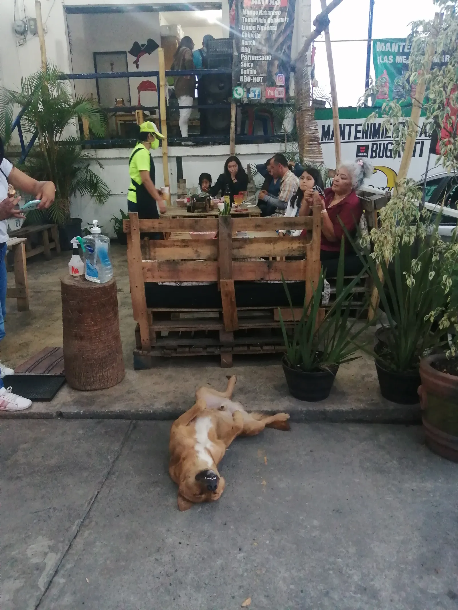 Alas alitas cartuchos image 3