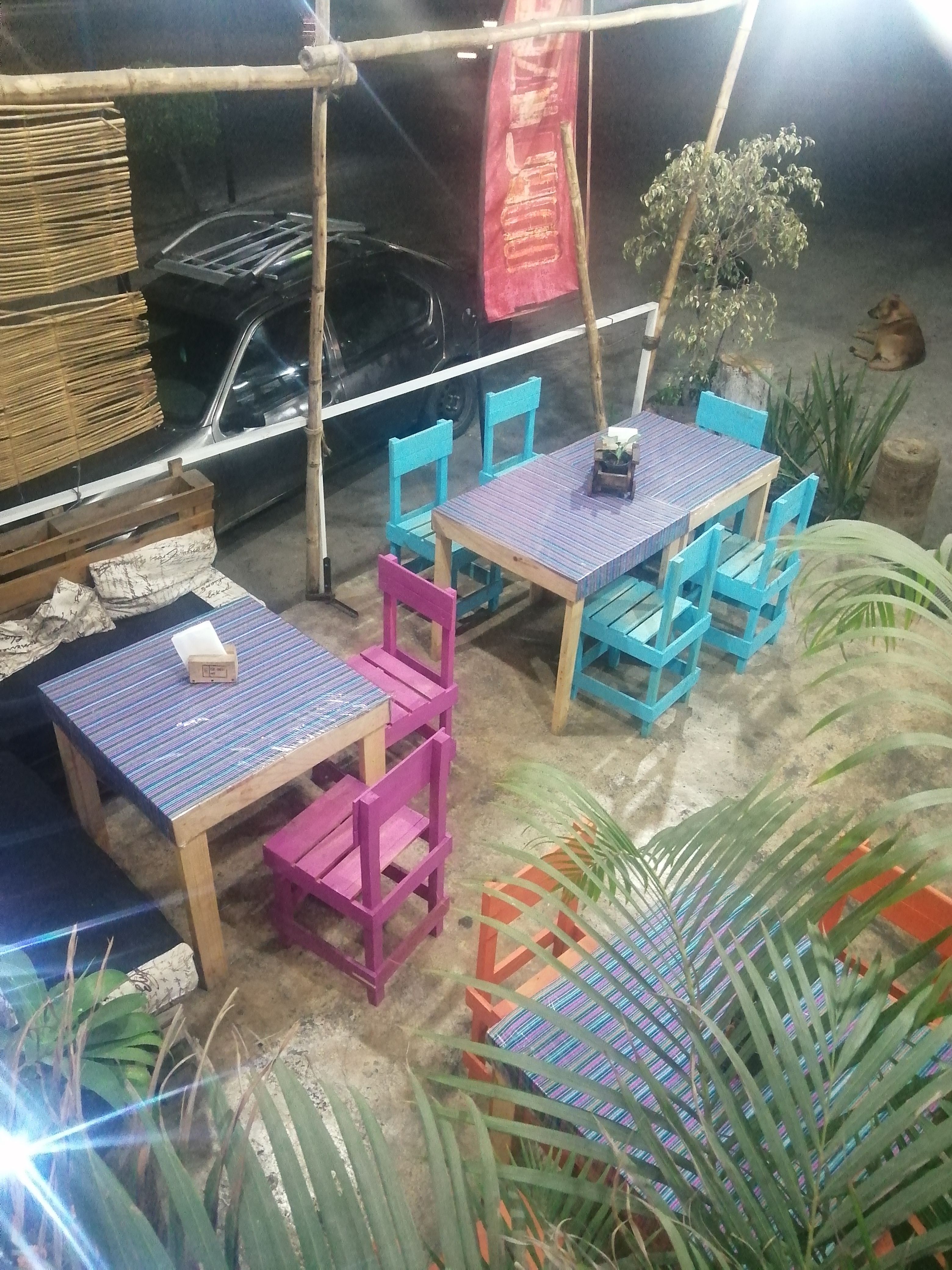 Alas alitas cartuchos image 9