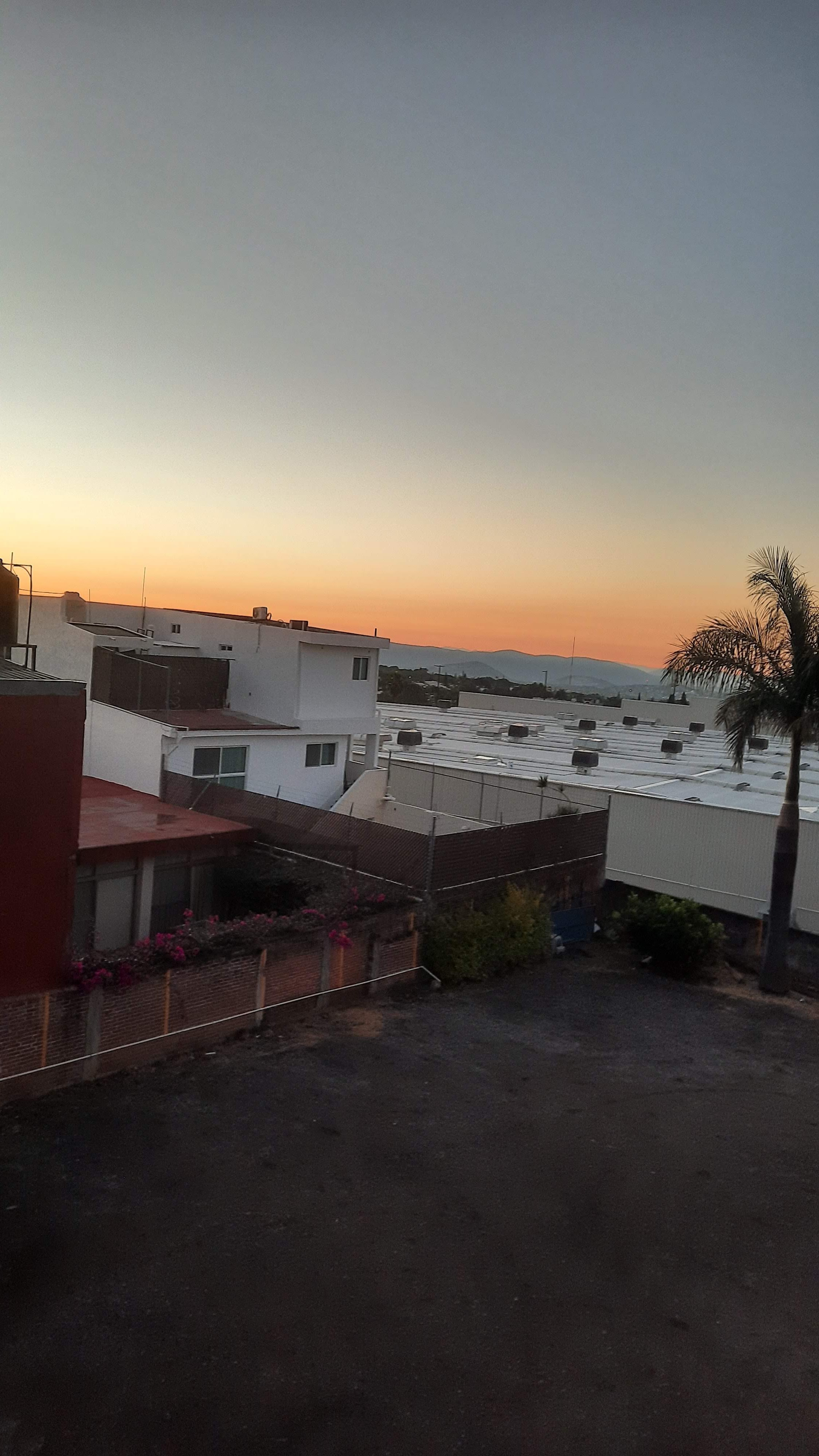 Michis Restaurante image 6