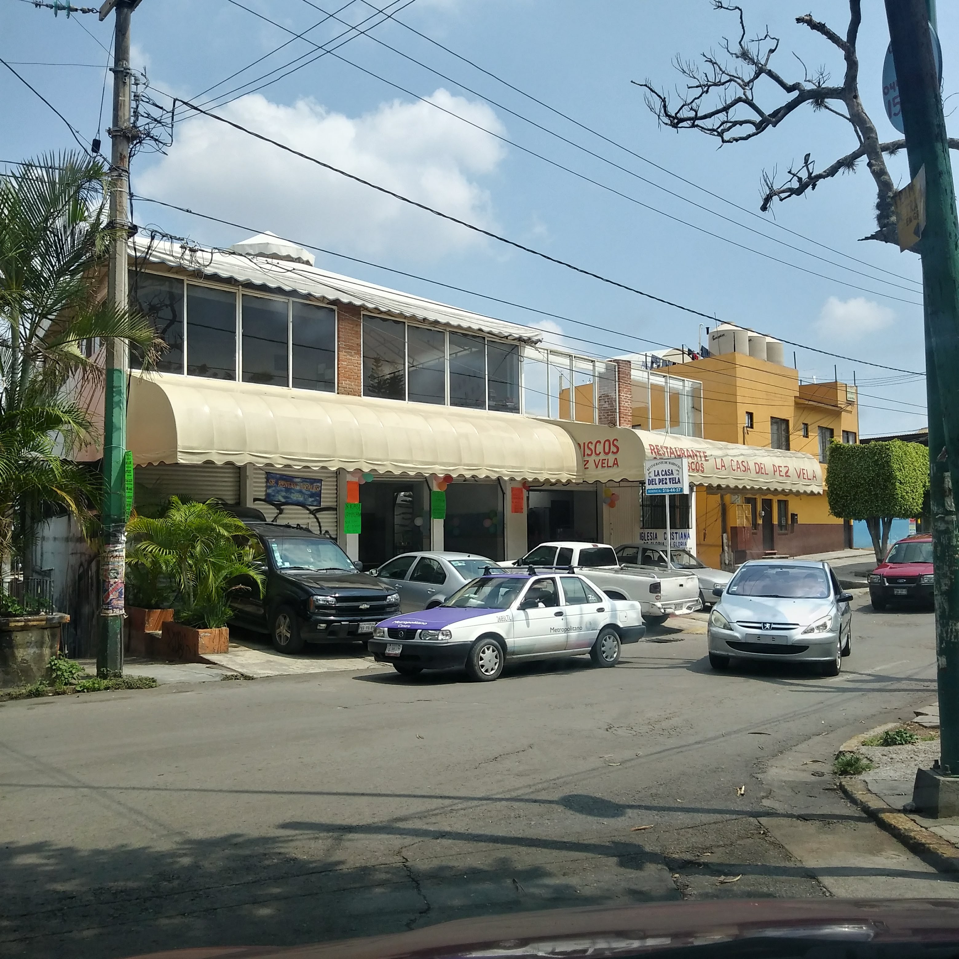 Restaurante de Mariscos la Casa del Pez Vela image 3