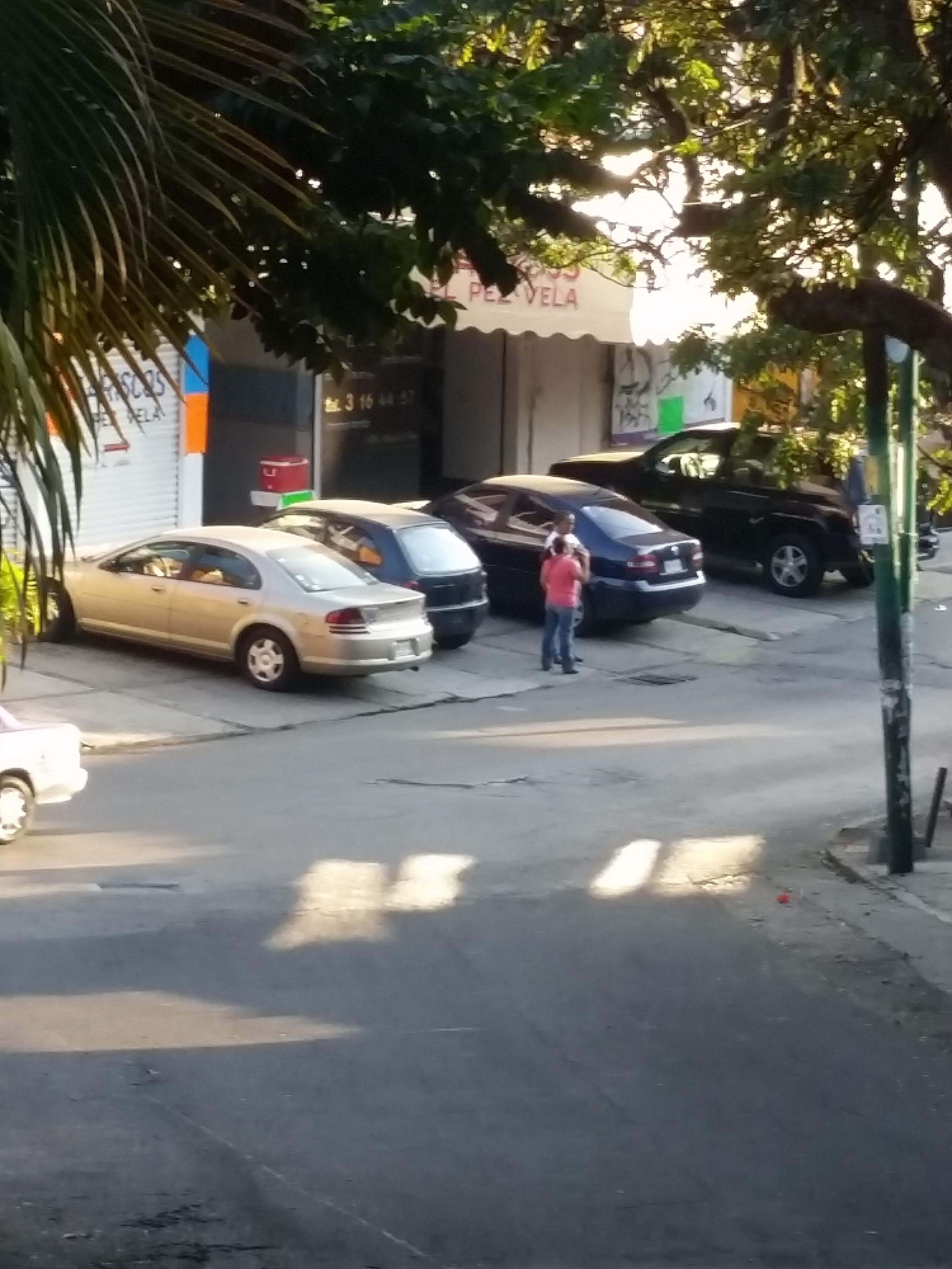 Restaurante de Mariscos la Casa del Pez Vela image 8