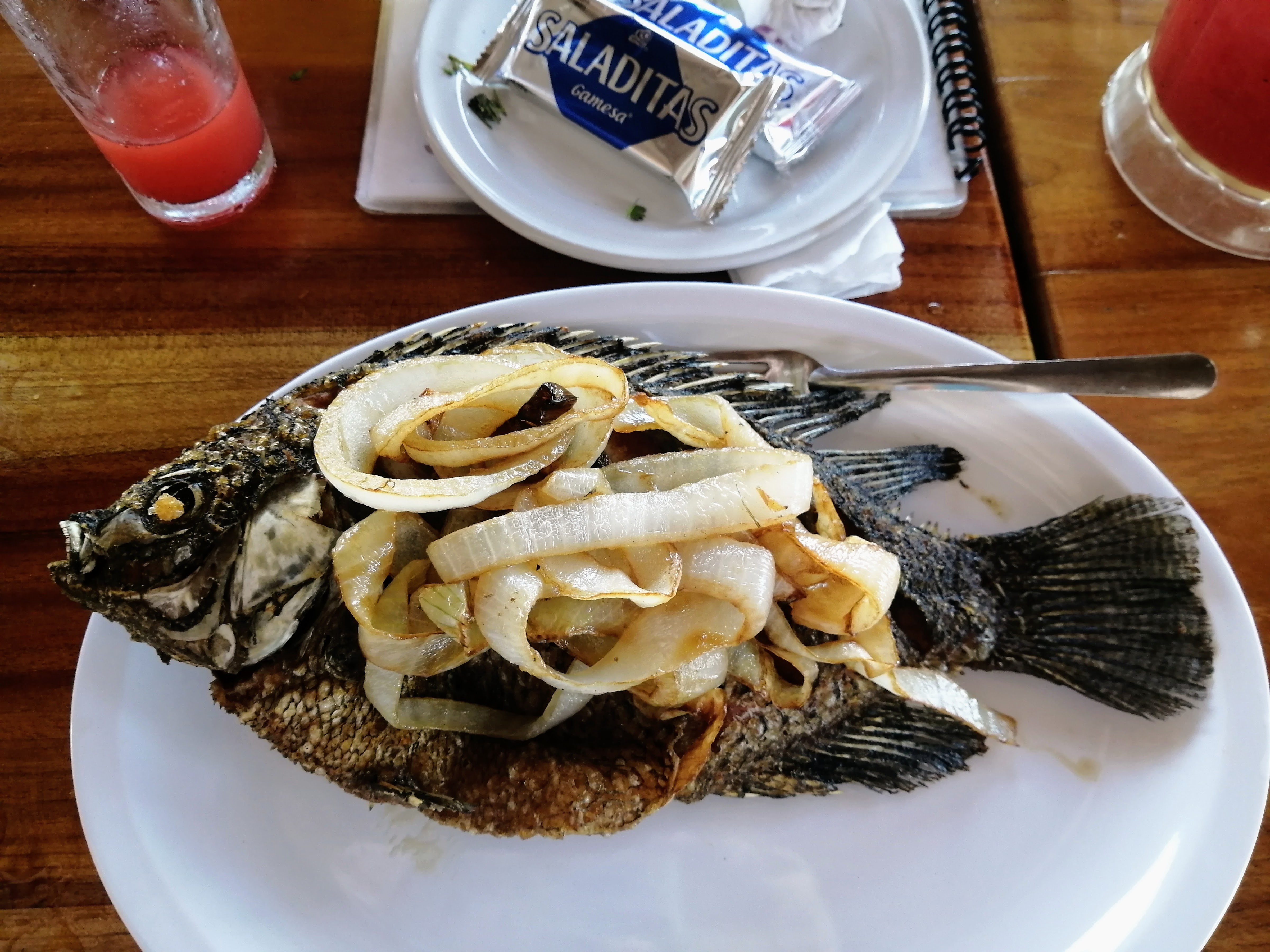 Restaurante Interactivo El Acuario. image 6